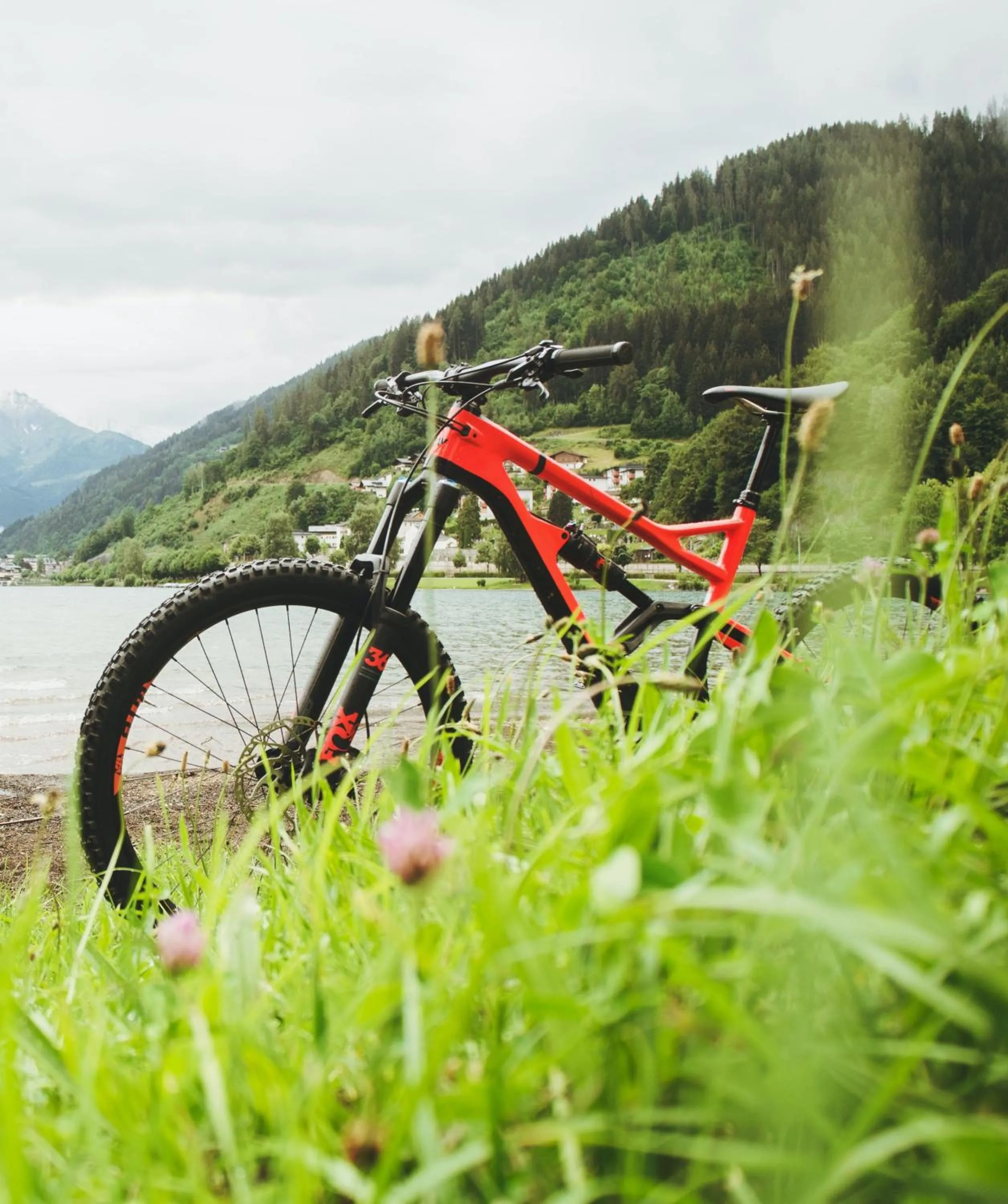 Cycling in MyPARADIES