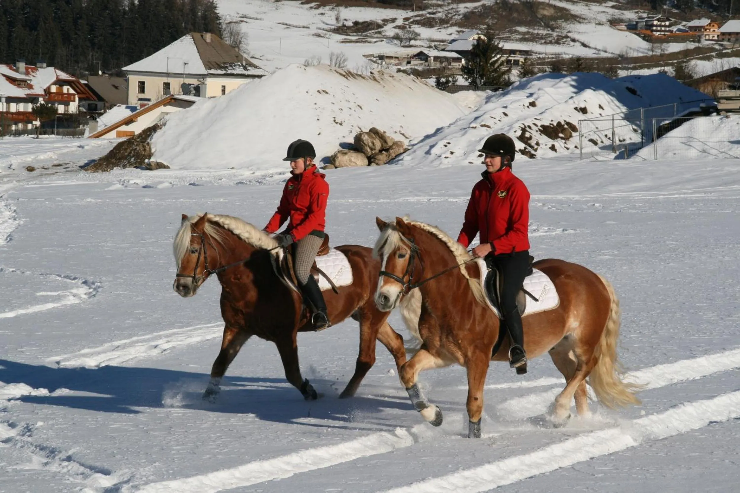 Horse-riding in Hotel Post - OlangCard included