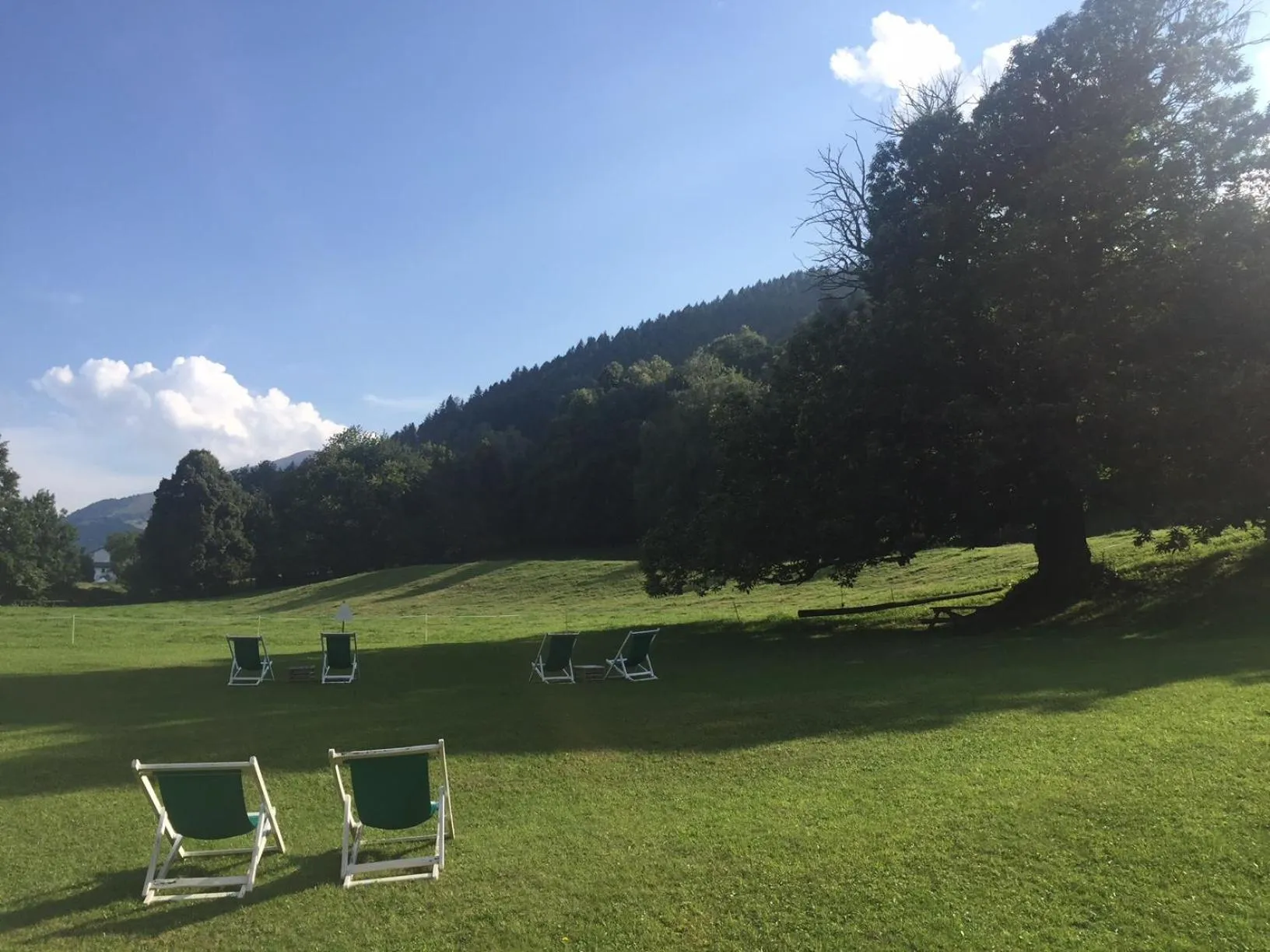 Garden in Hotel Villa Simplicitas