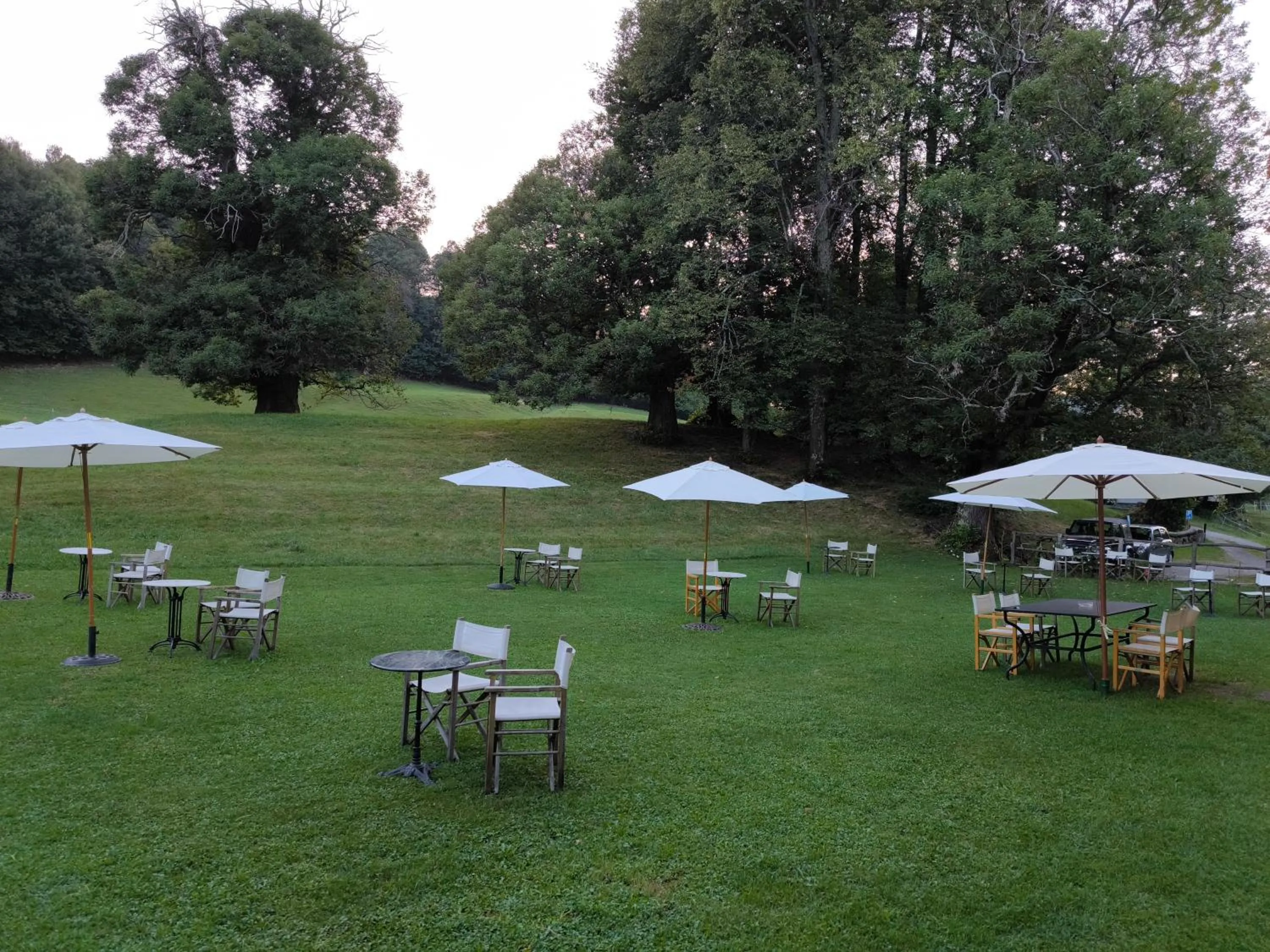Garden in Hotel Villa Simplicitas