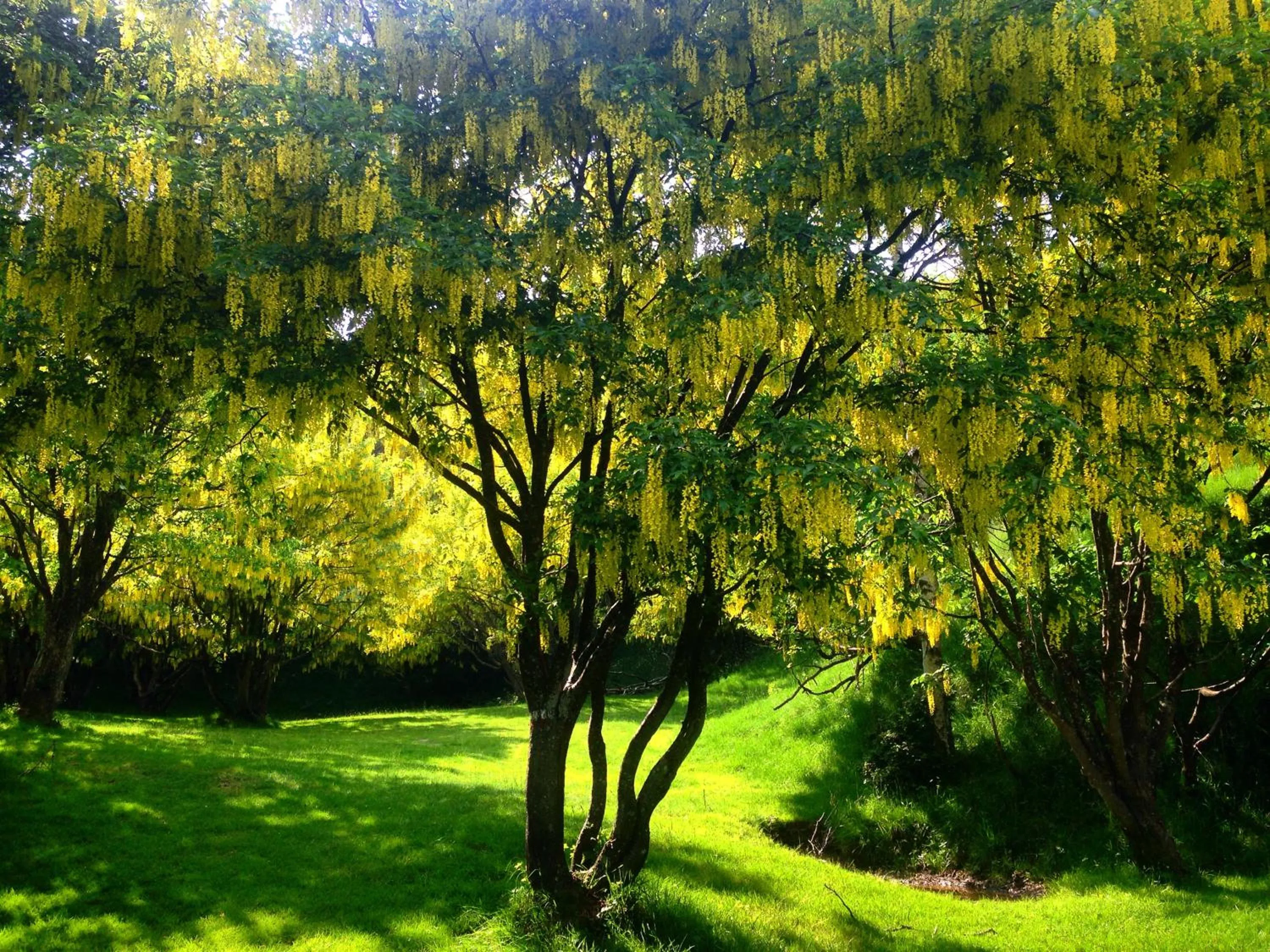 Hiking in Hotel Villa Simplicitas