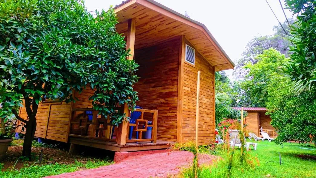 Patio in Simge Pension