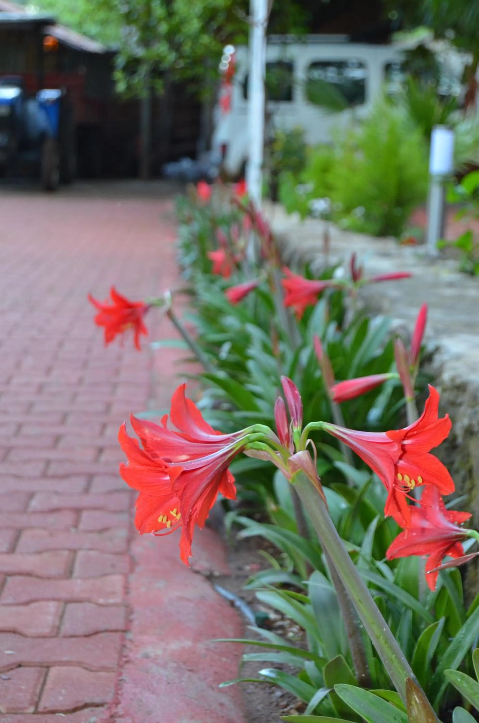 Facade/entrance in Simge Pension