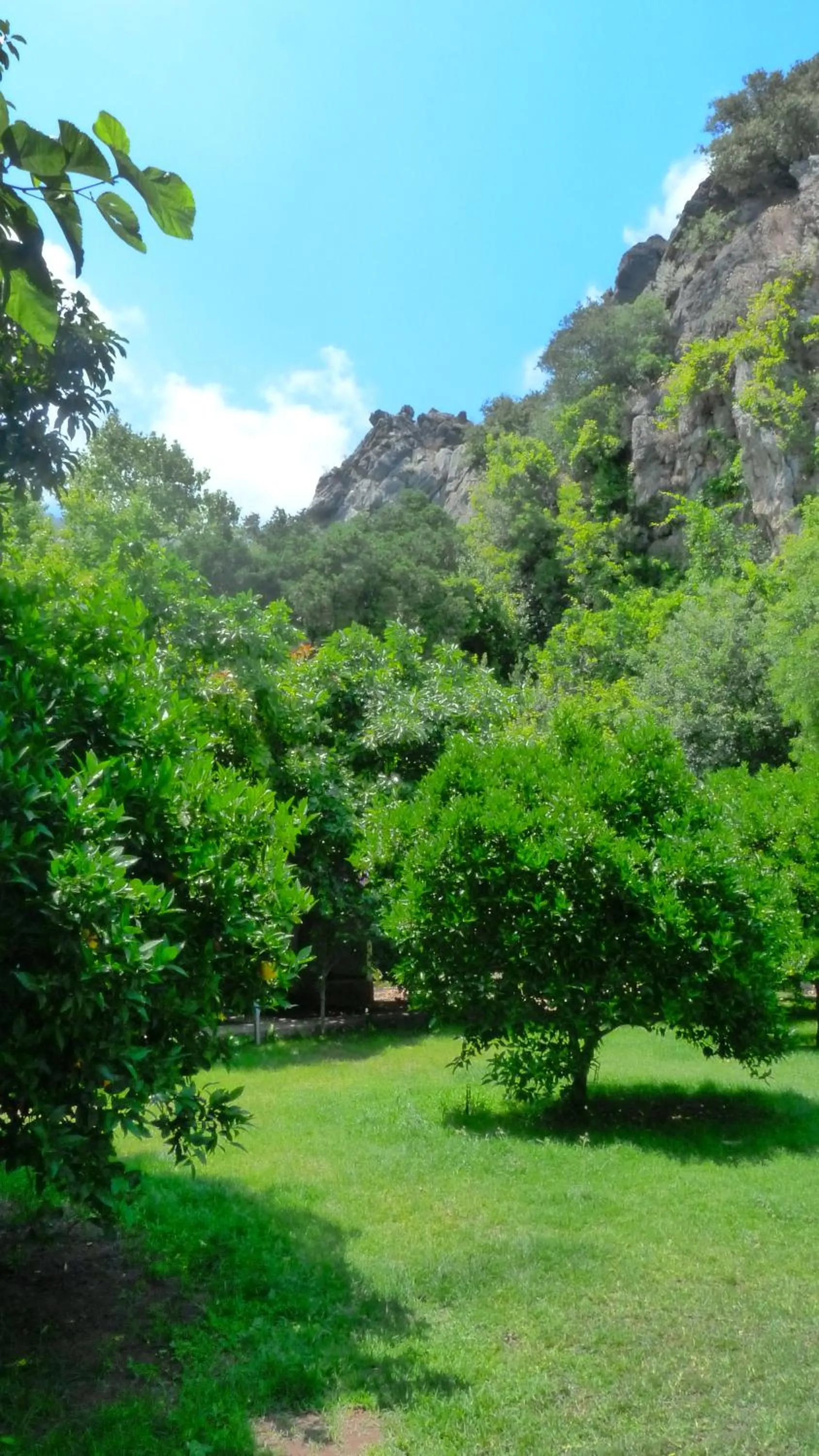 Garden in Simge Pension