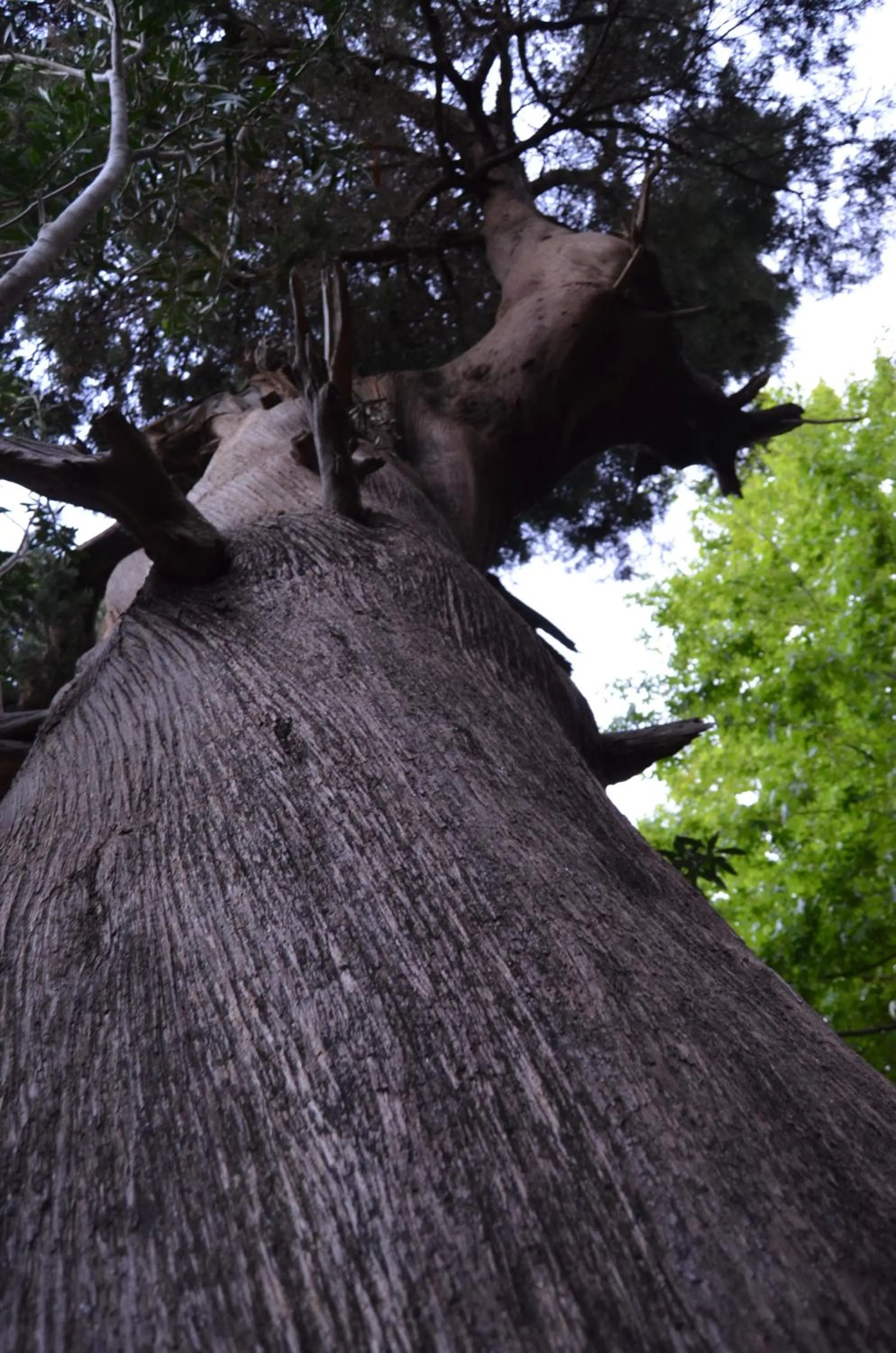 Natural landscape in Simge Pension