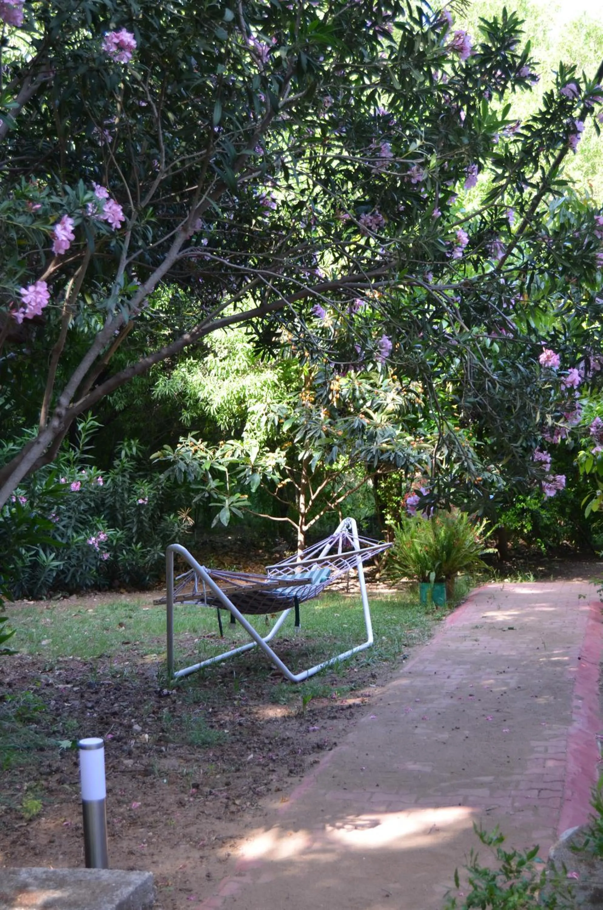 Garden in Simge Pension