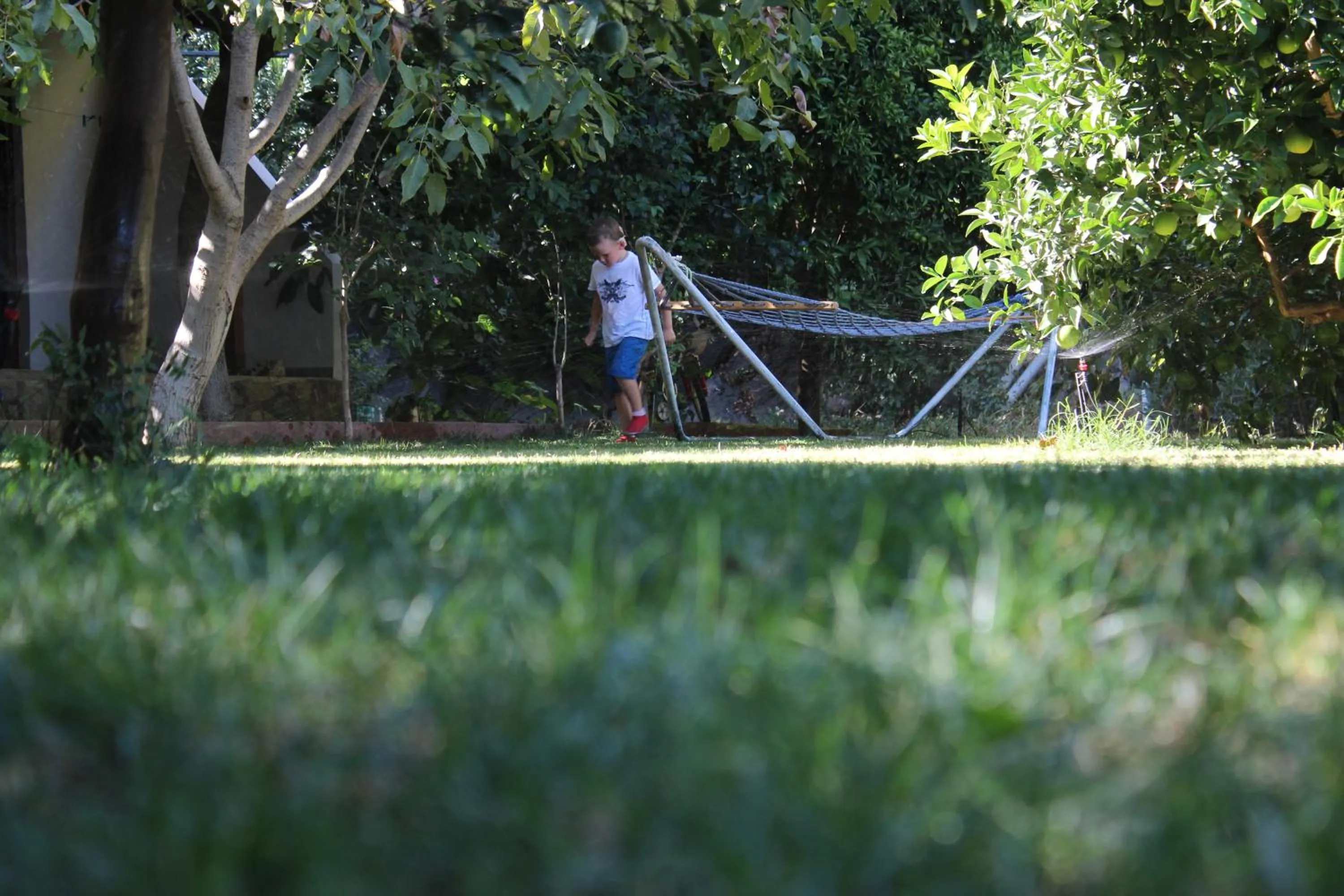 Garden in Simge Pension