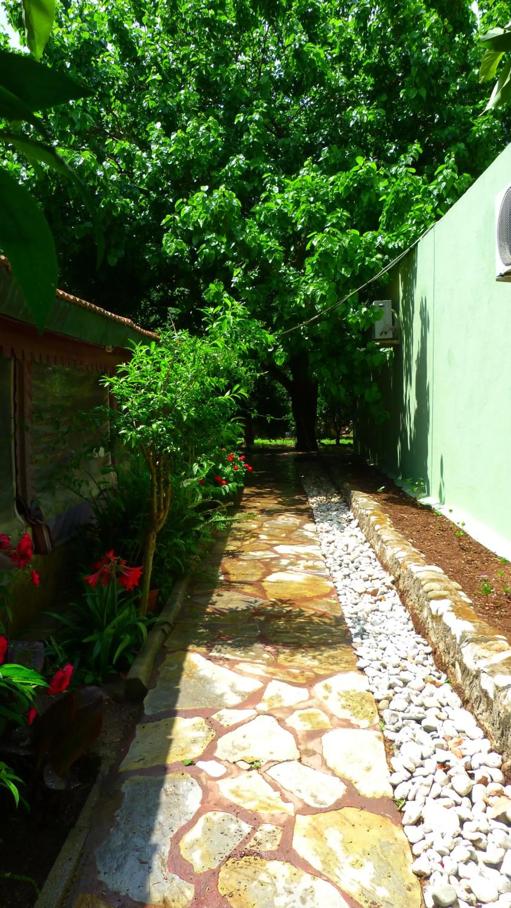 Garden in Simge Pension