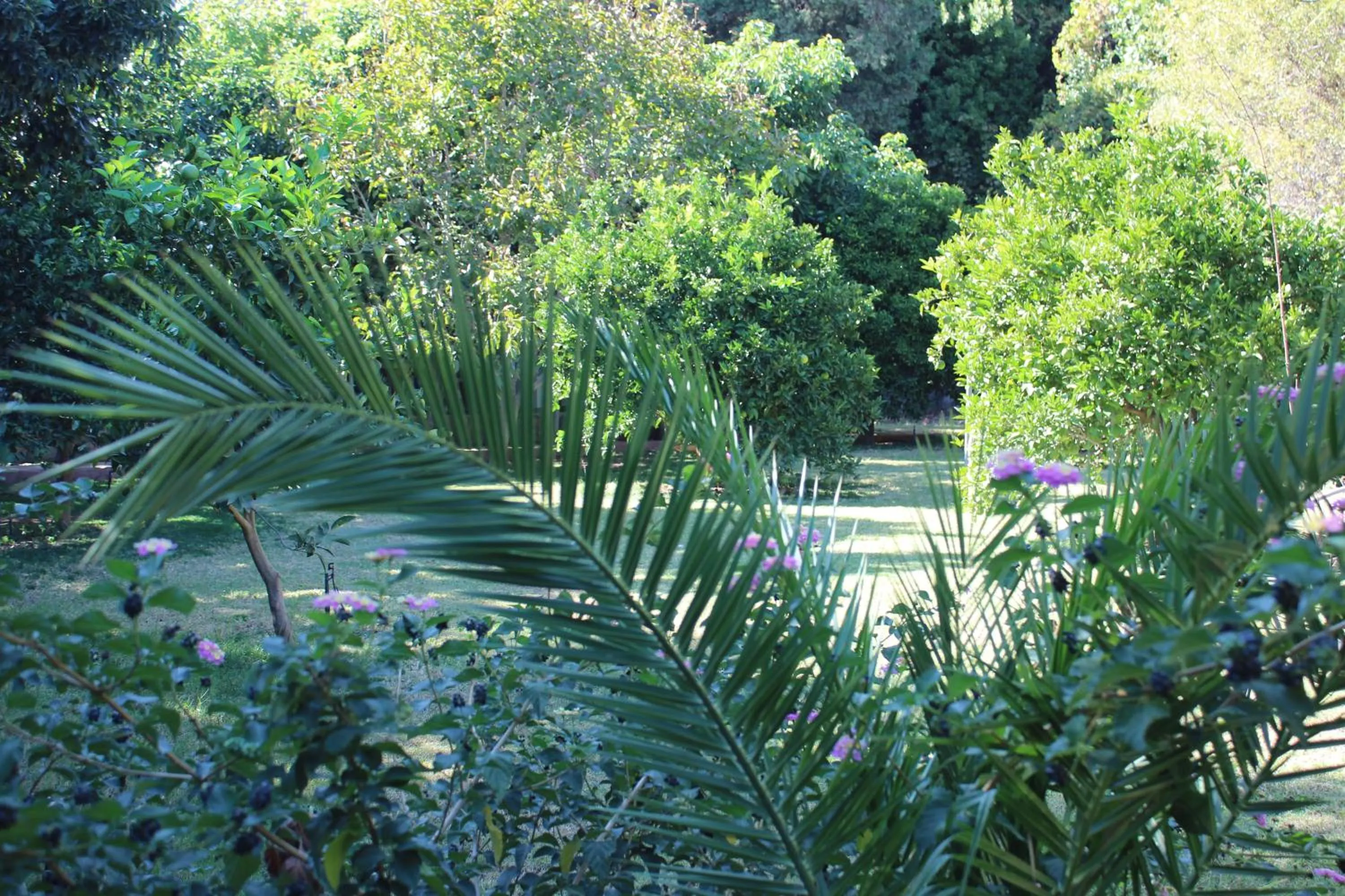 Facade/entrance in Simge Pension