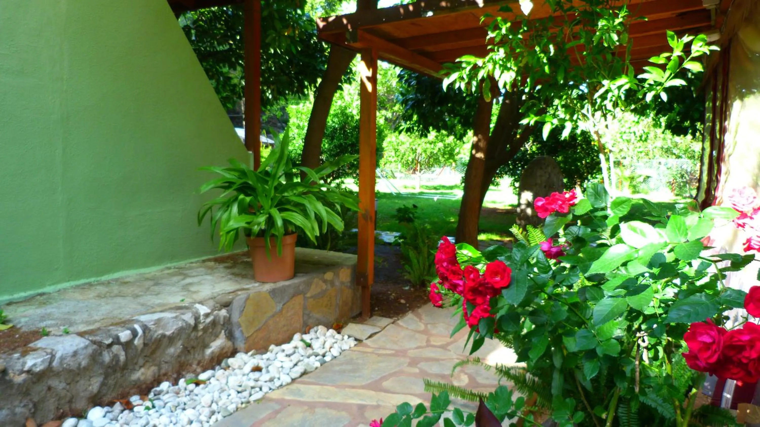 Garden in Simge Pension