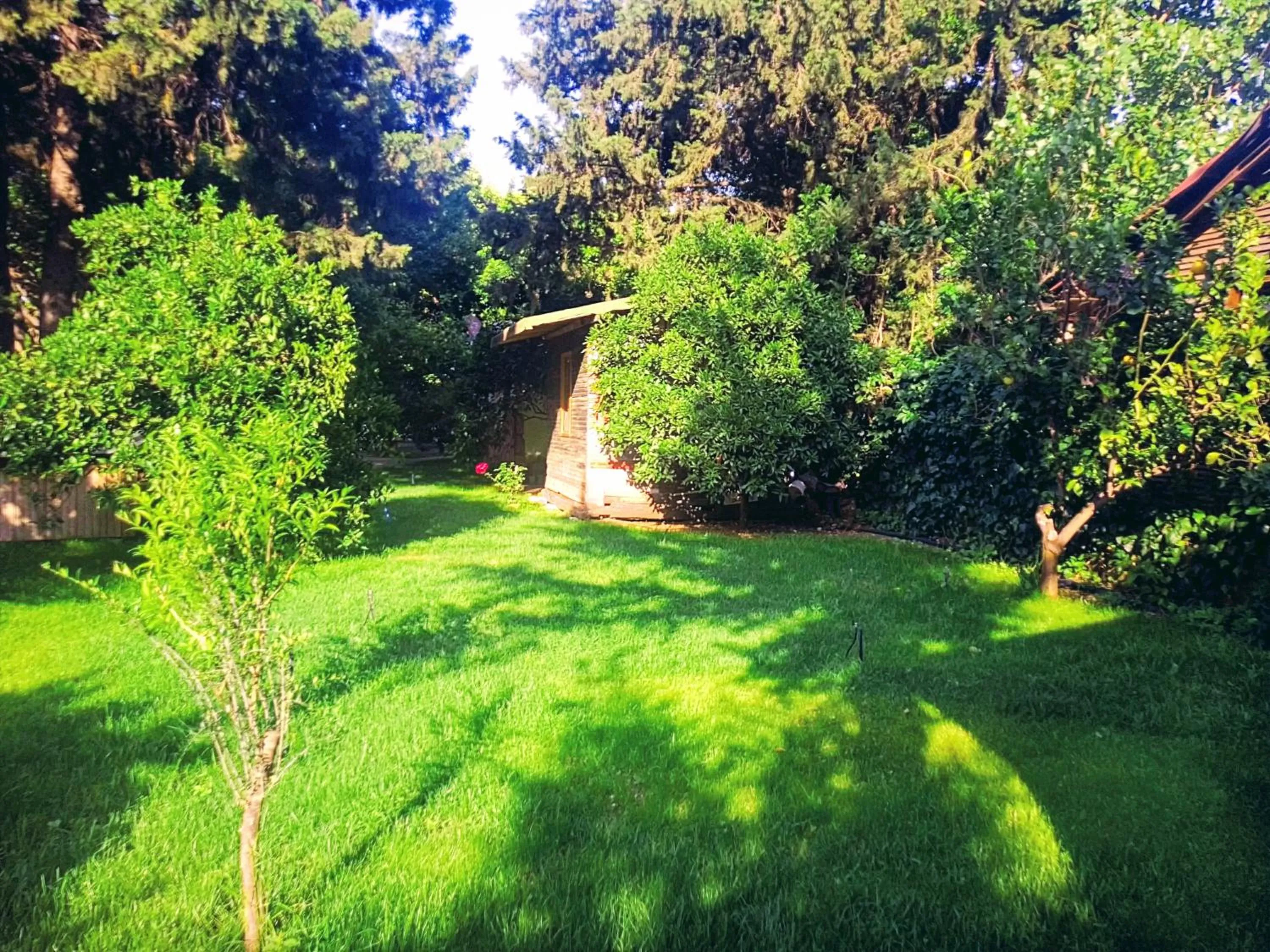 Garden in Simge Pension