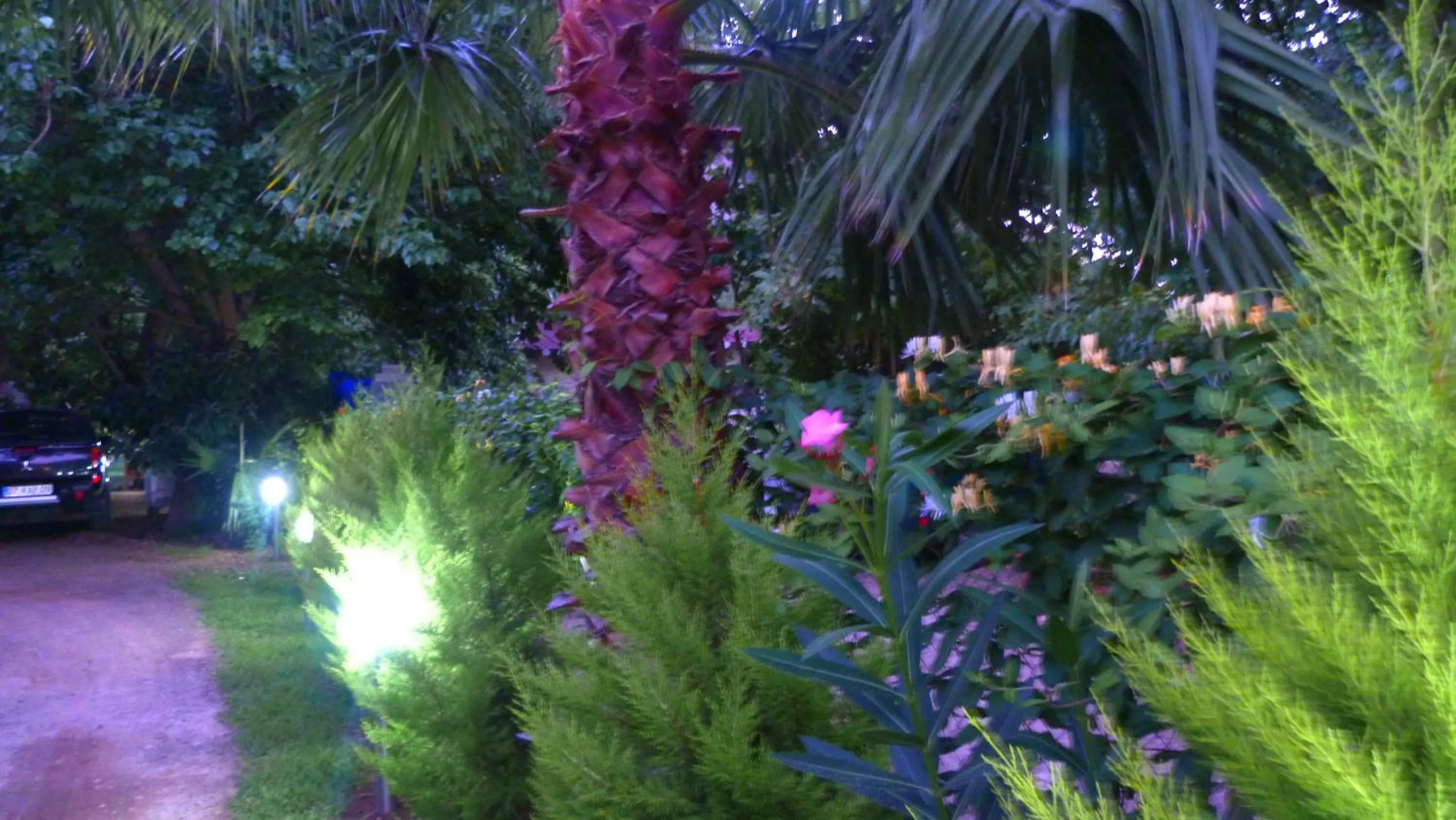 Garden in Simge Pension