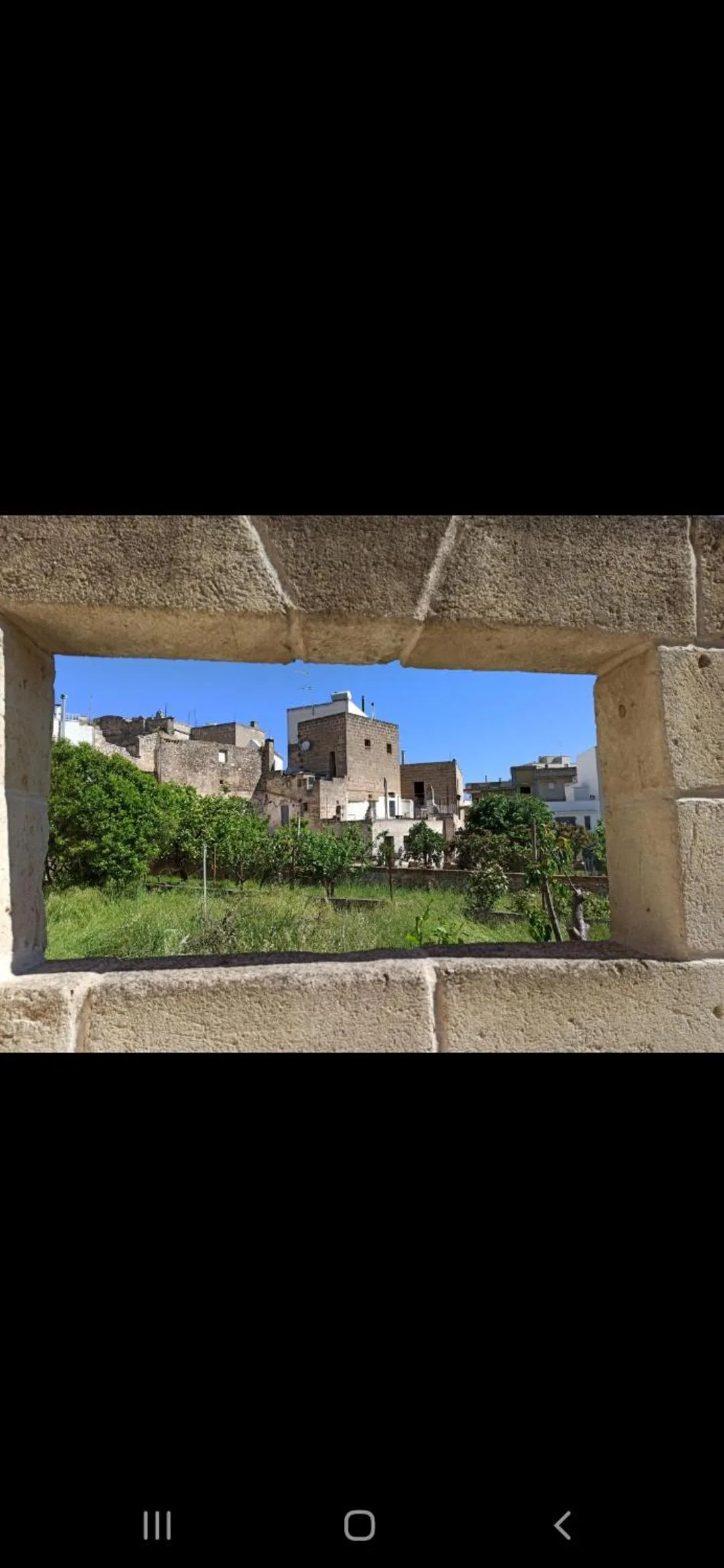 Garden in B&B L'Antico Ortale