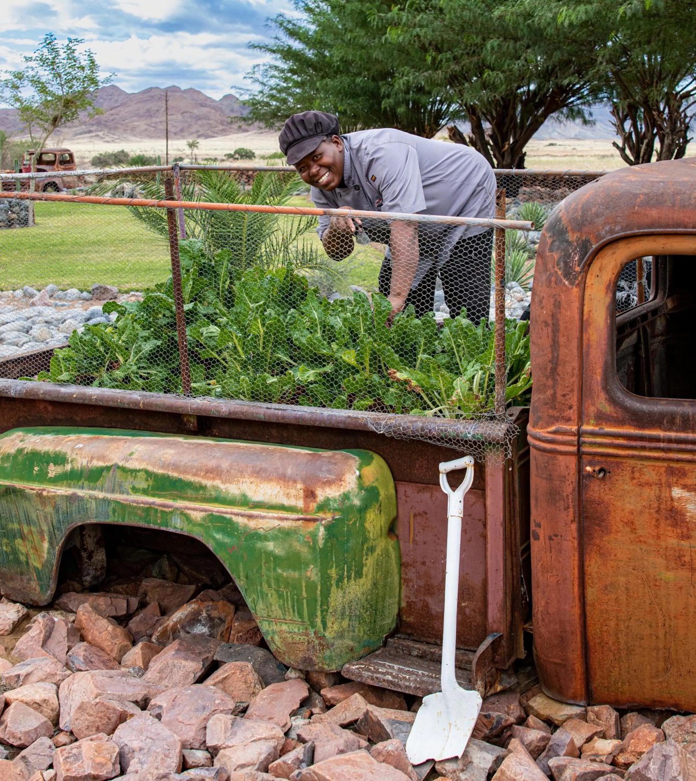 Garden in Elegant Desert Lodge