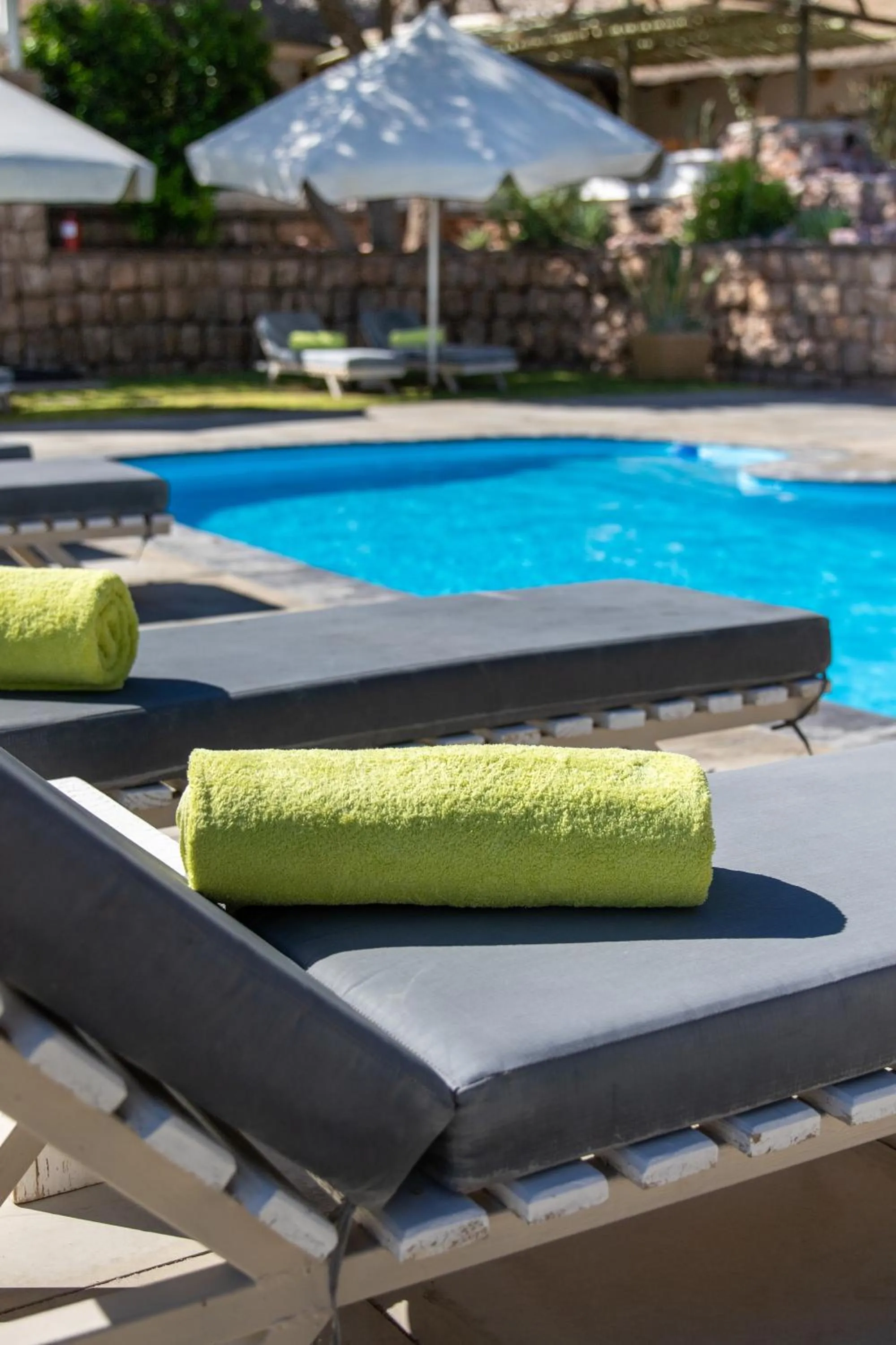 Swimming pool in Elegant Desert Lodge