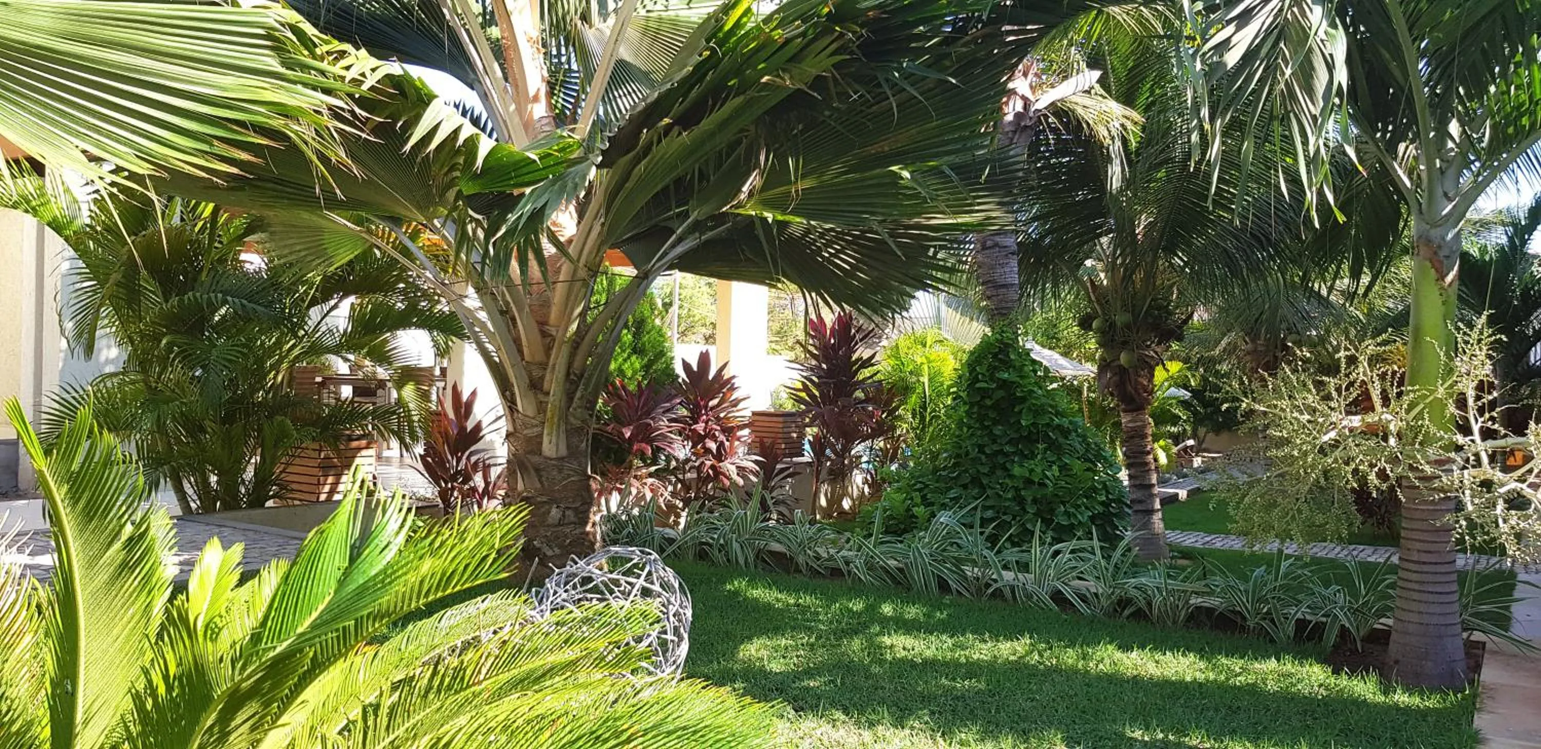 Garden view in Ravenala Hotel Boutique
