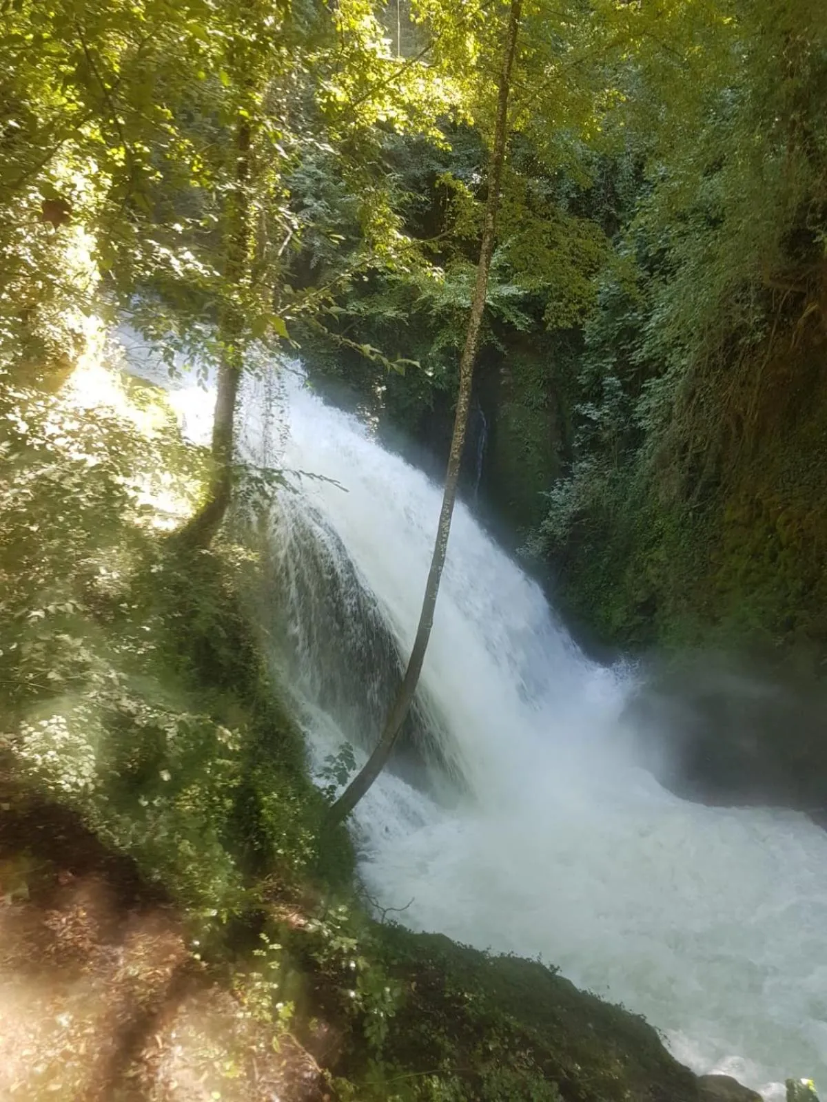 Residence Via Benamati