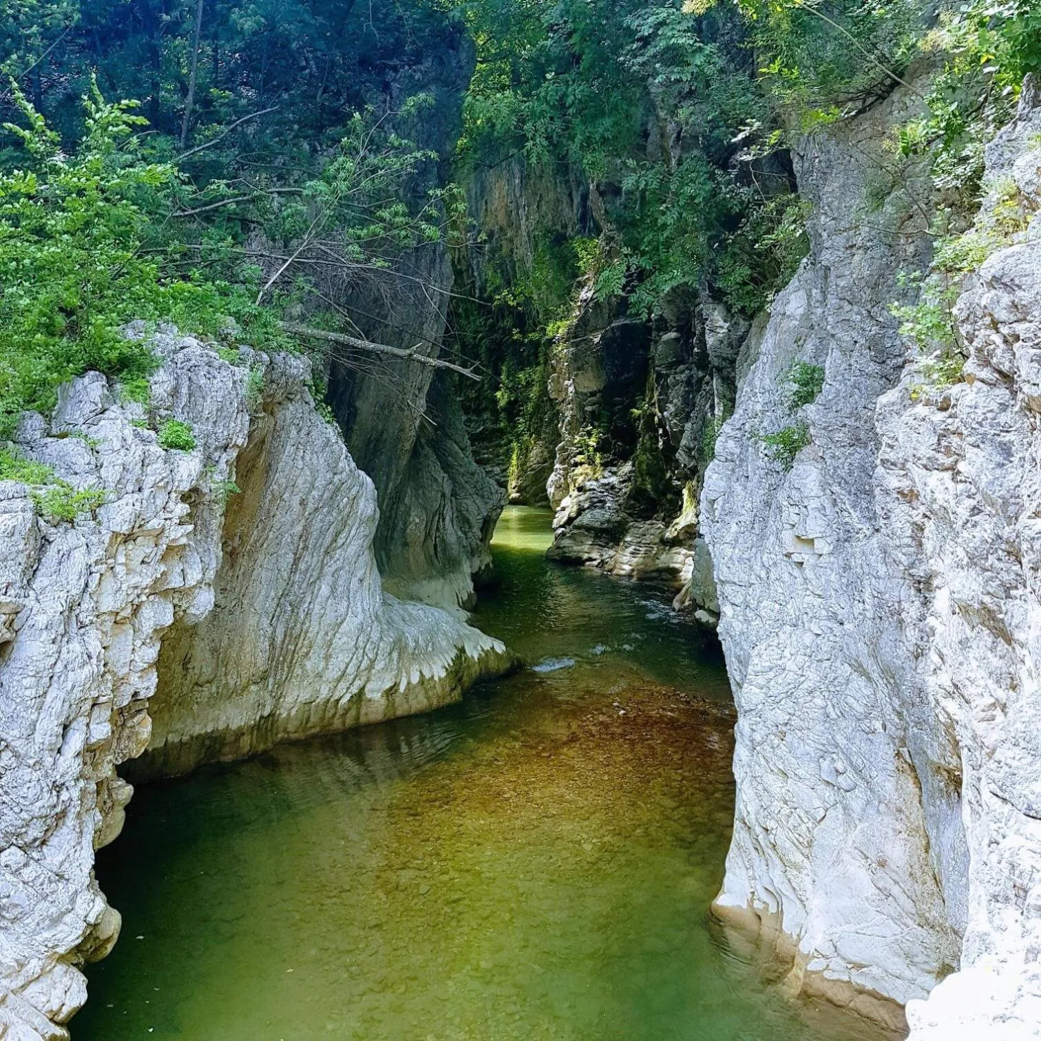 Residence Via Benamati