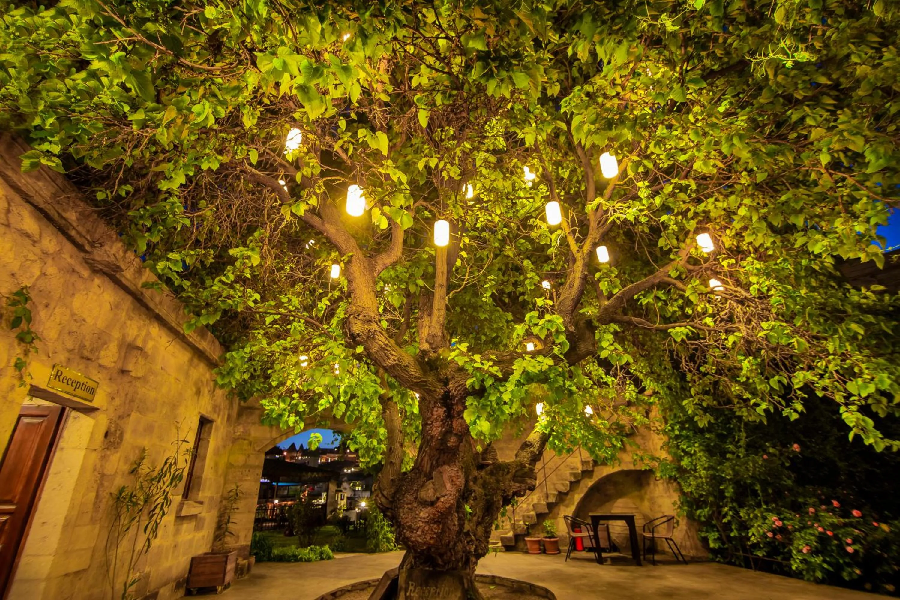 Facade/entrance in Dervish Cave House & Restaurant