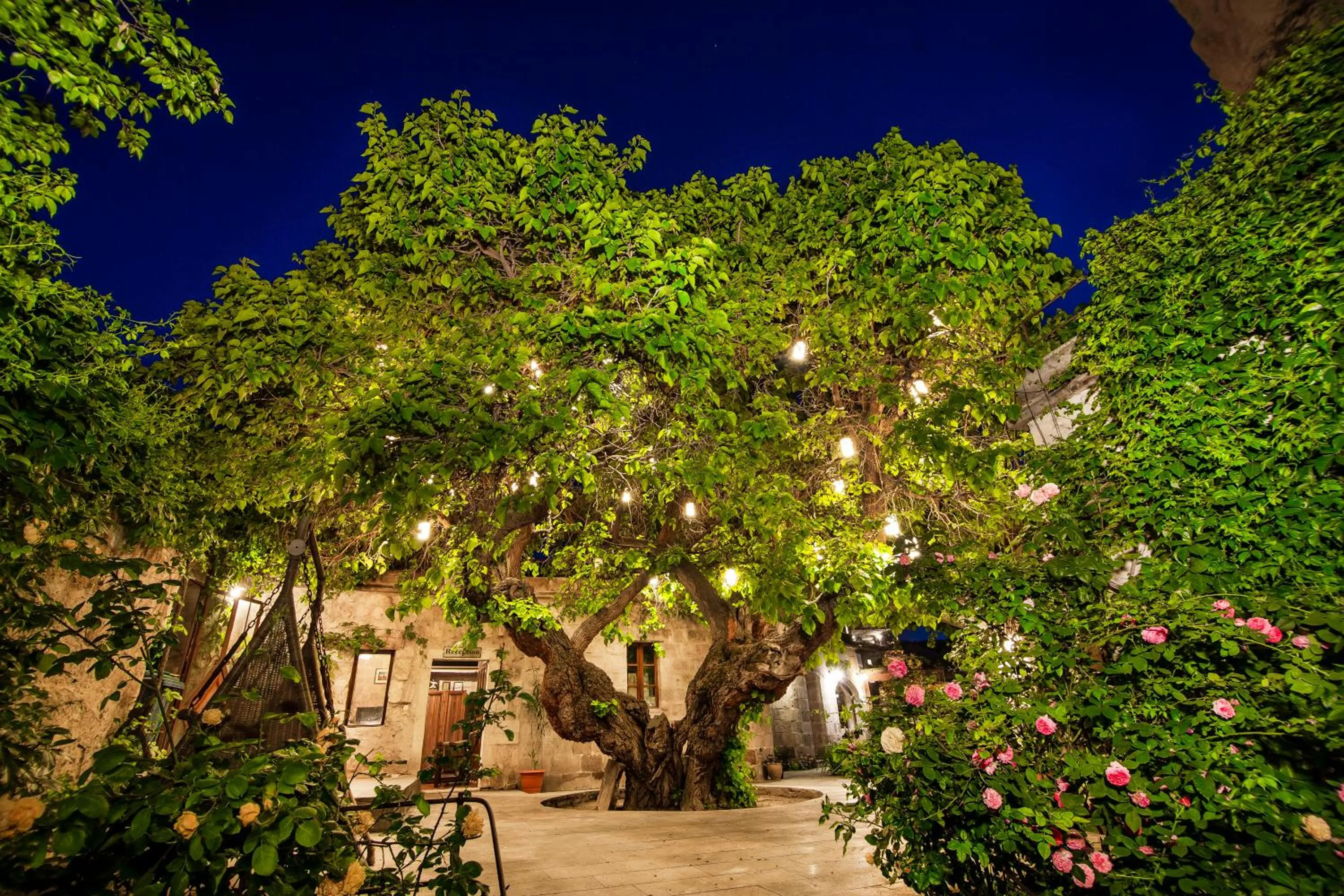 Garden in Dervish Cave House & Restaurant
