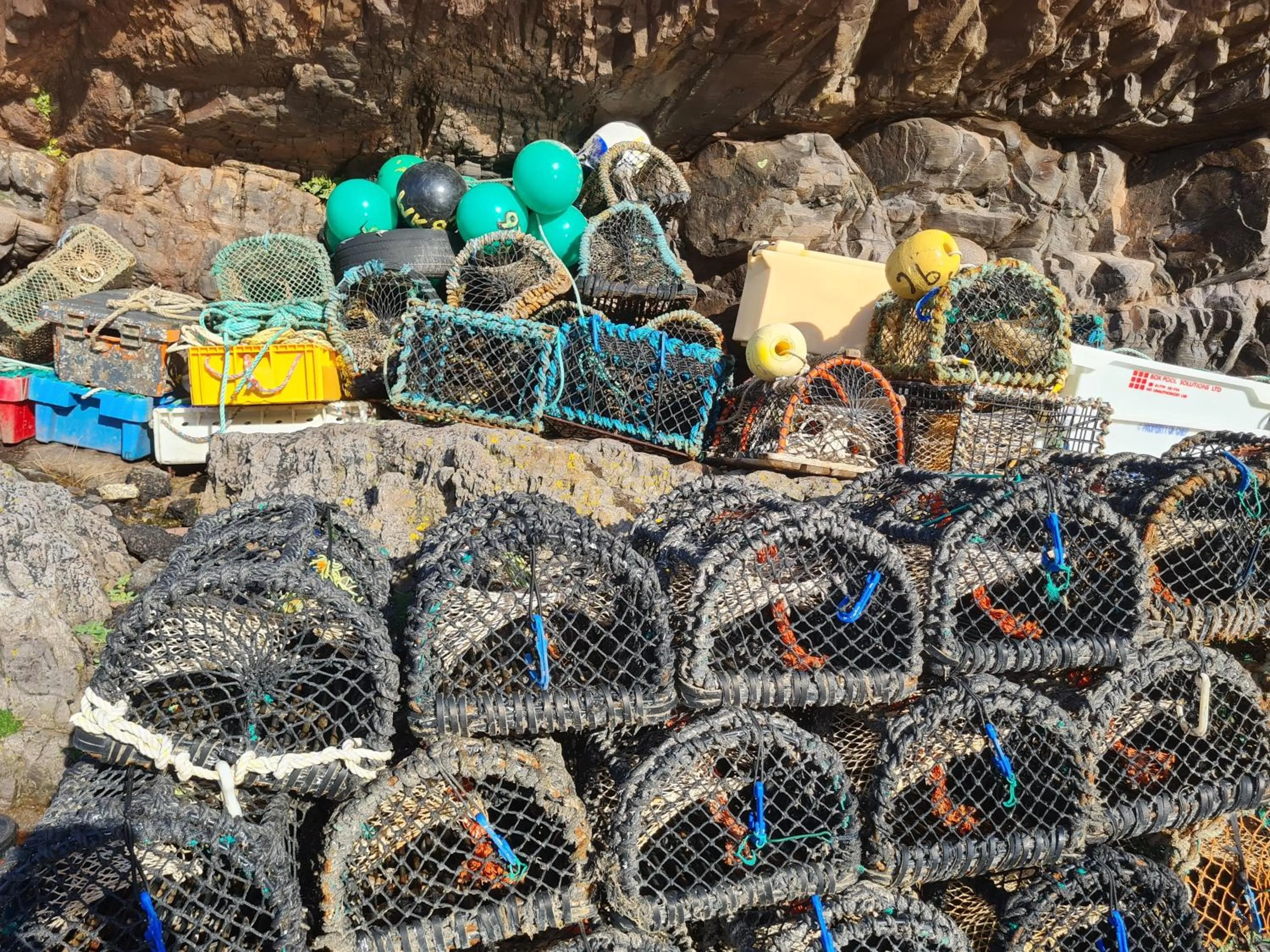 Day in Victoria Hotel