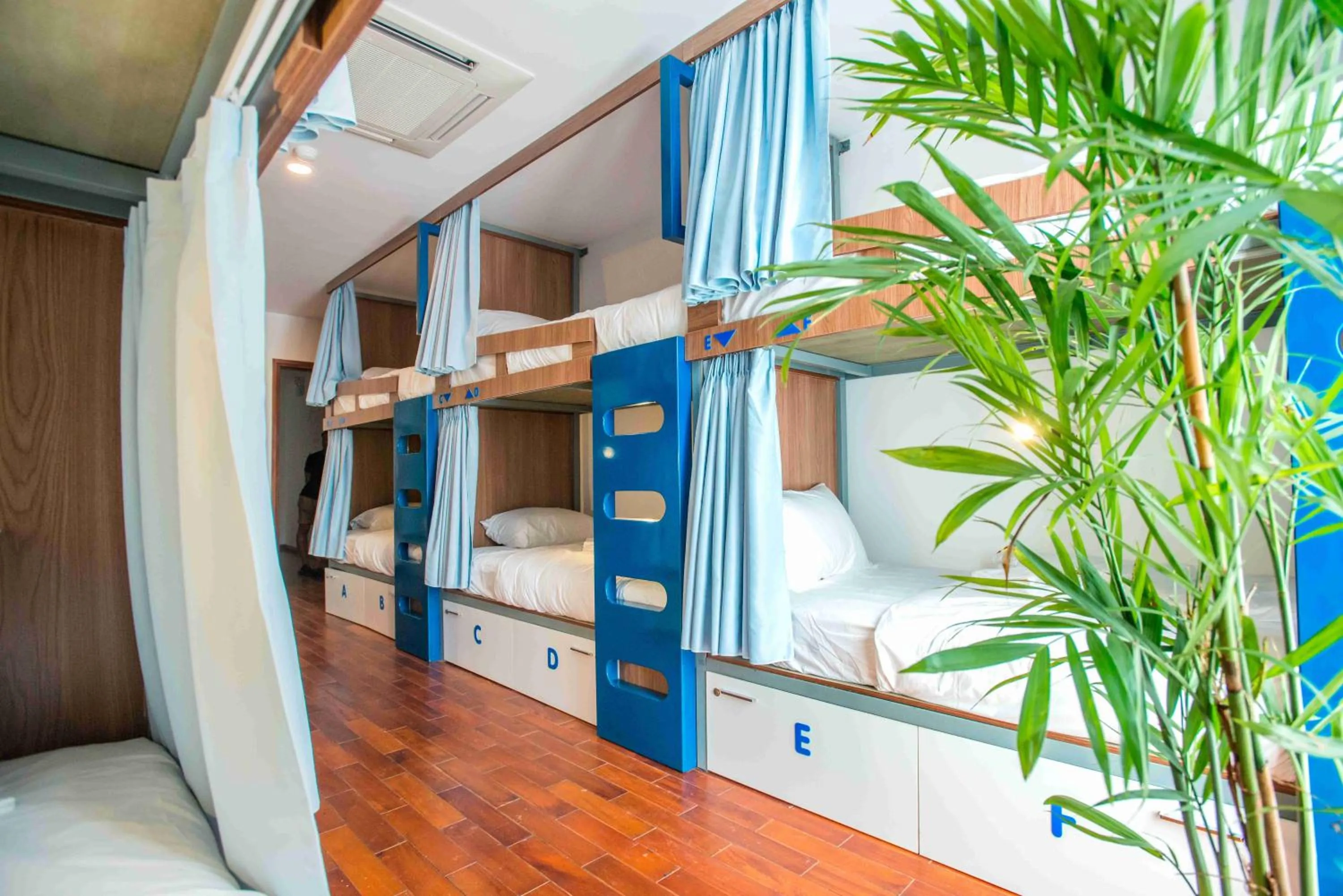 Photo of the whole room in Nexy Hostel