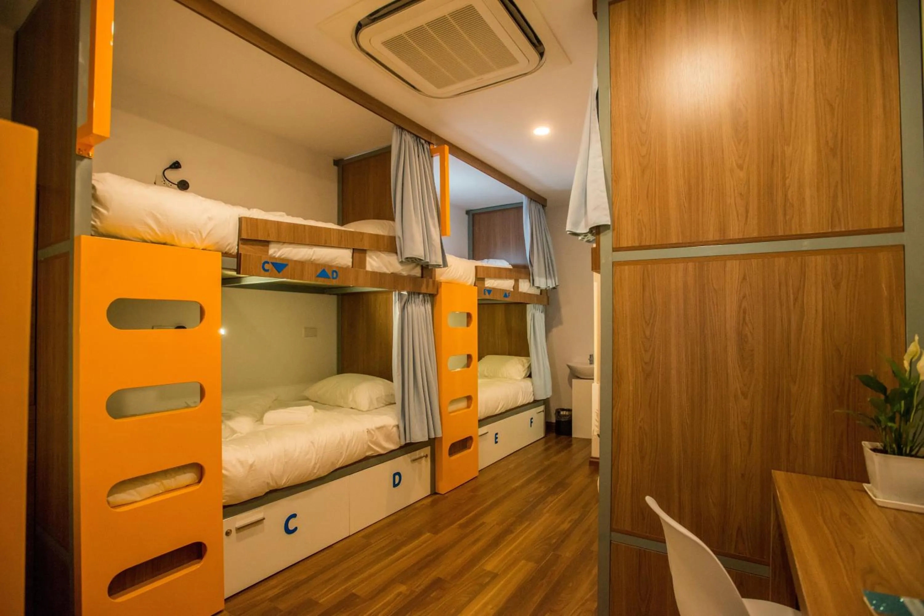 Photo of the whole room, Bed in Nexy Hostel