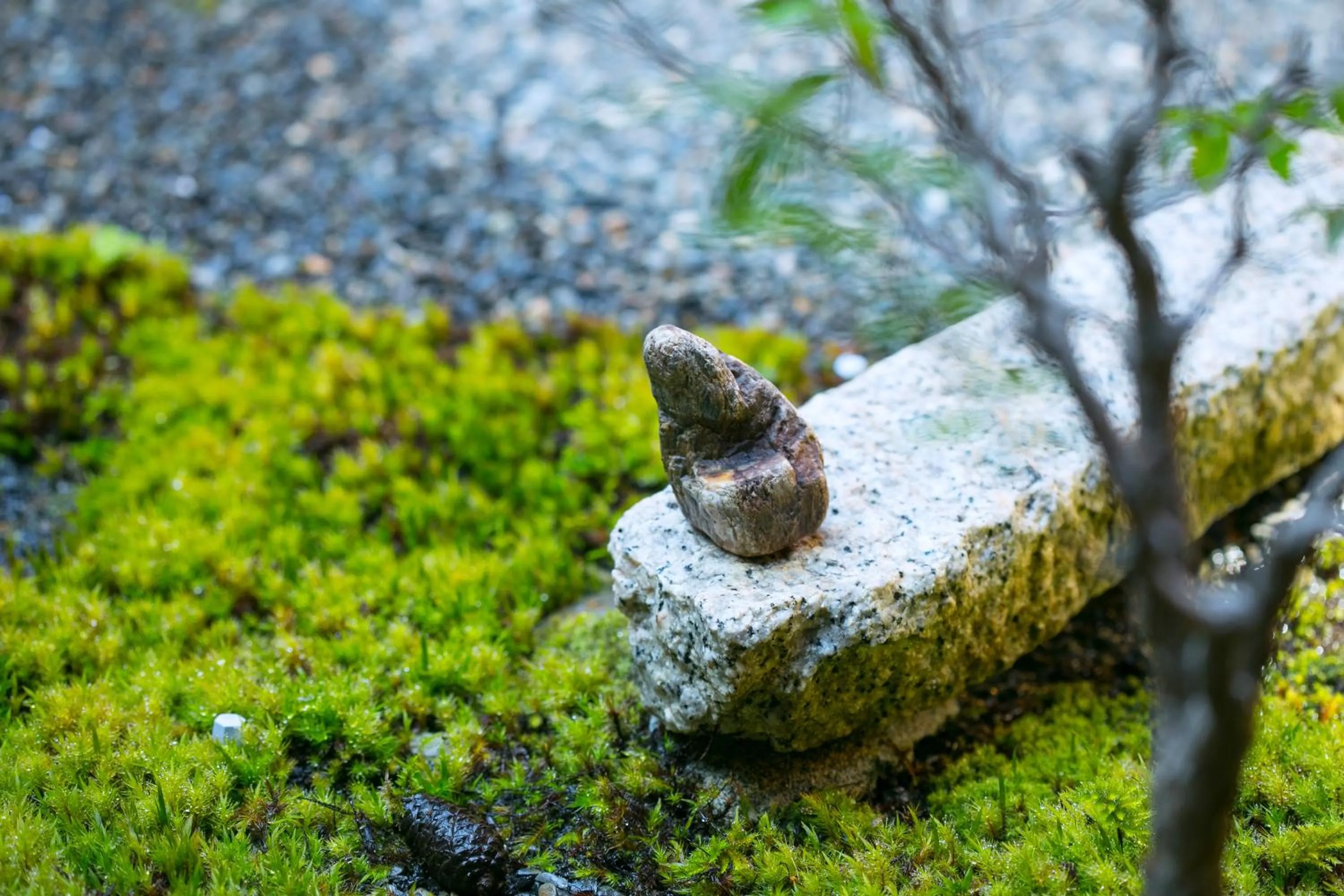Garden in Ryokan Mugen (Adult Only)