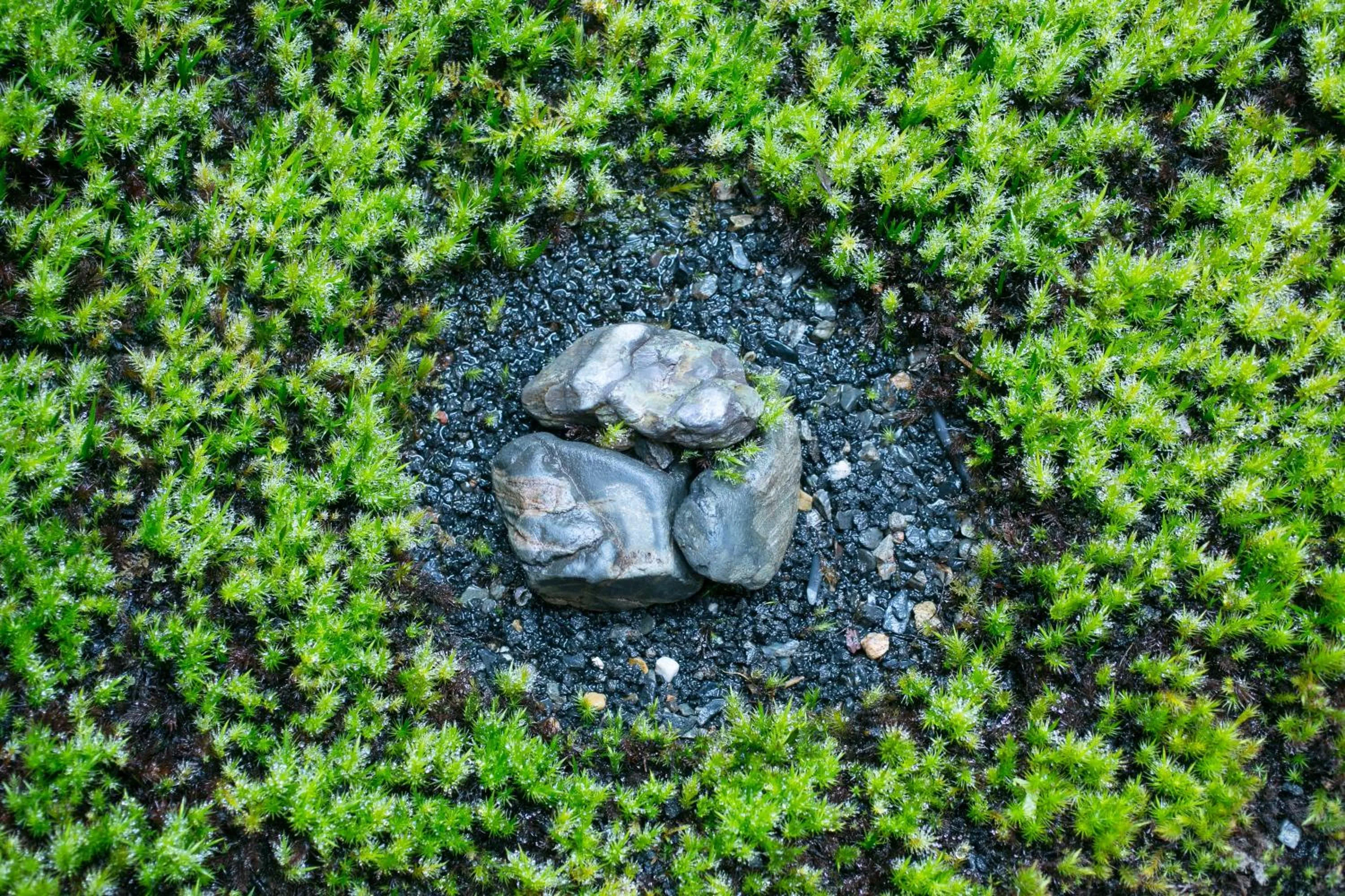 Garden in Ryokan Mugen (Adult Only)