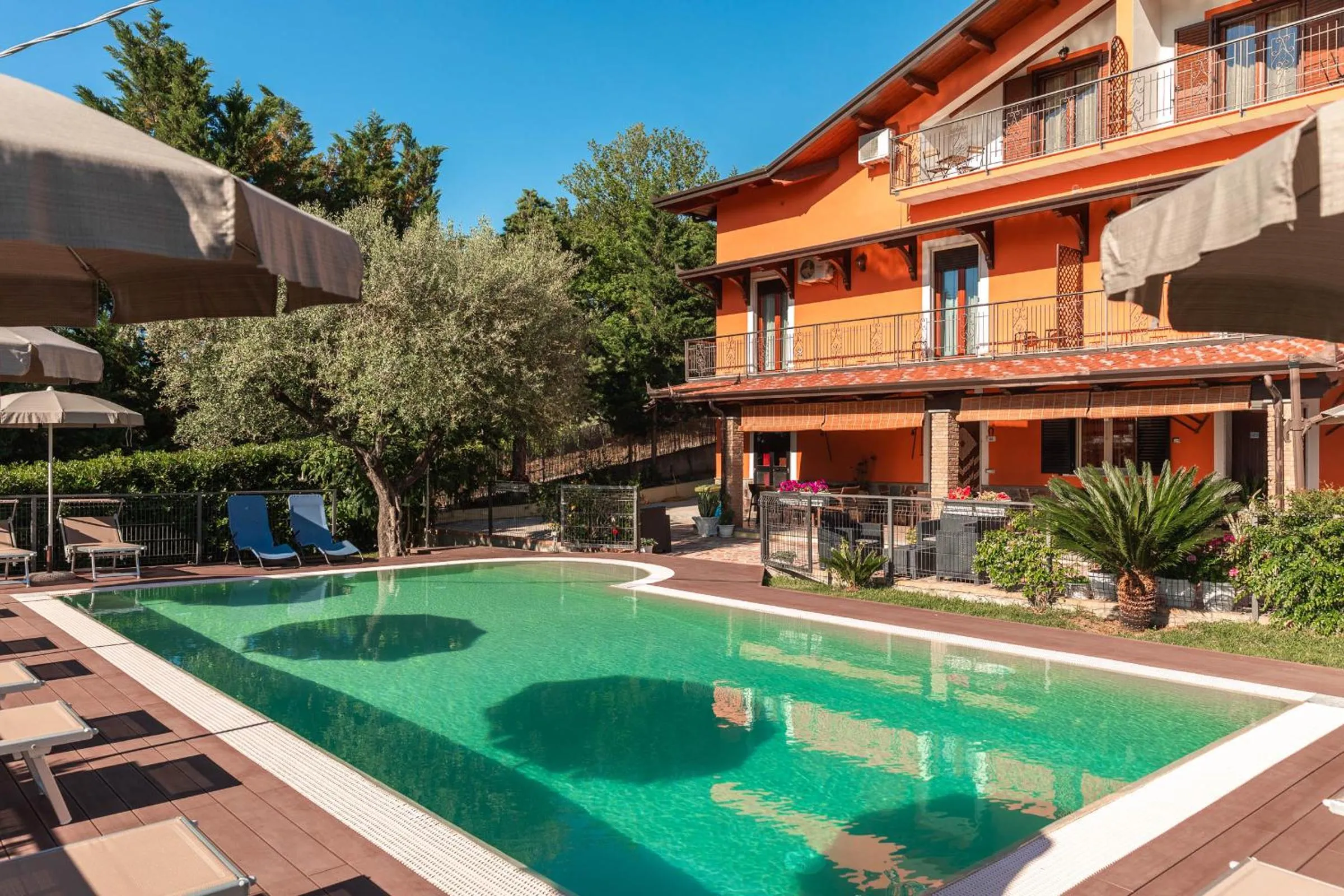 Garden view in B&B La Mortella