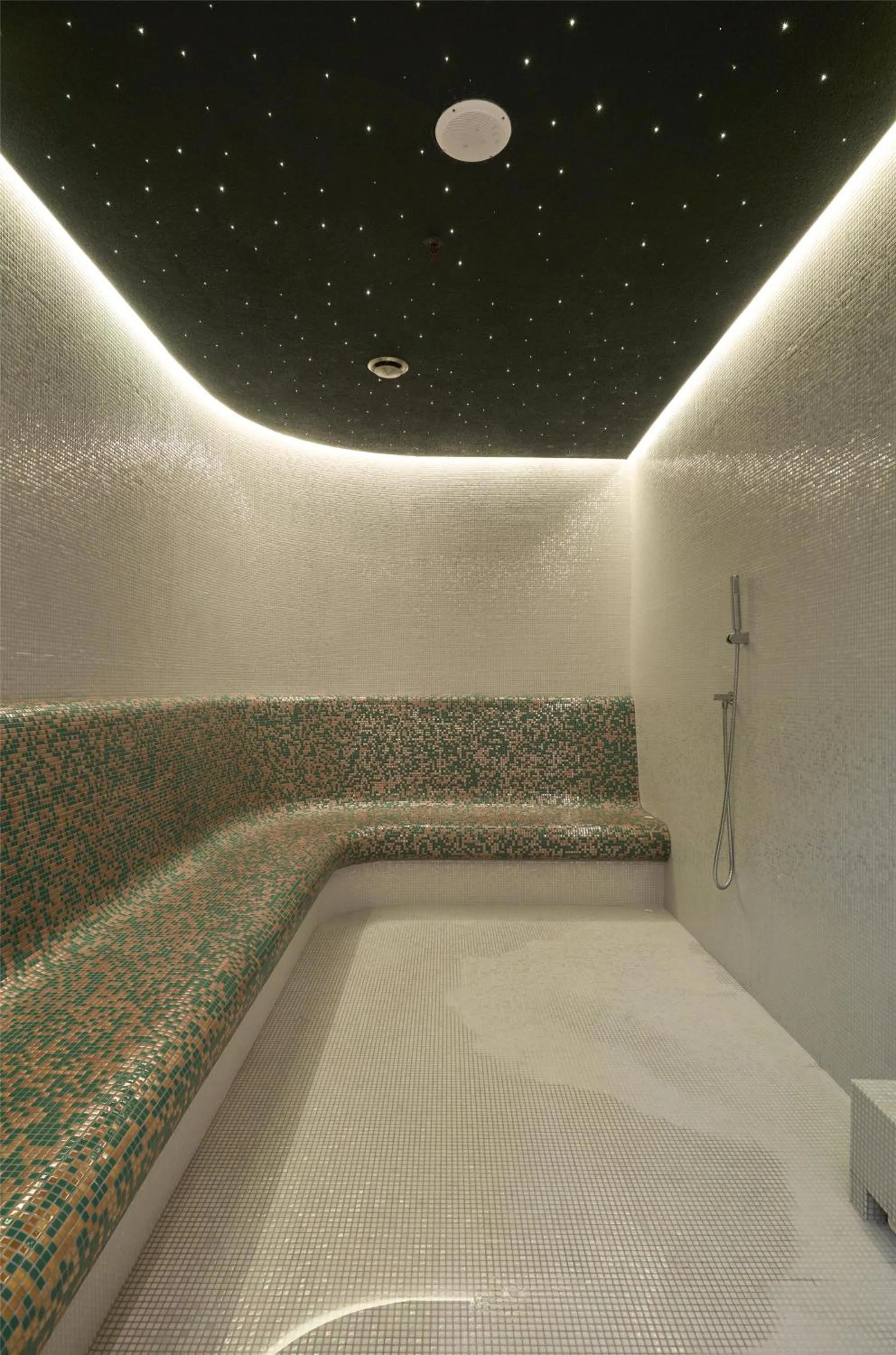 Sports in Hotel Saski Krakow Curio Collection by Hilton