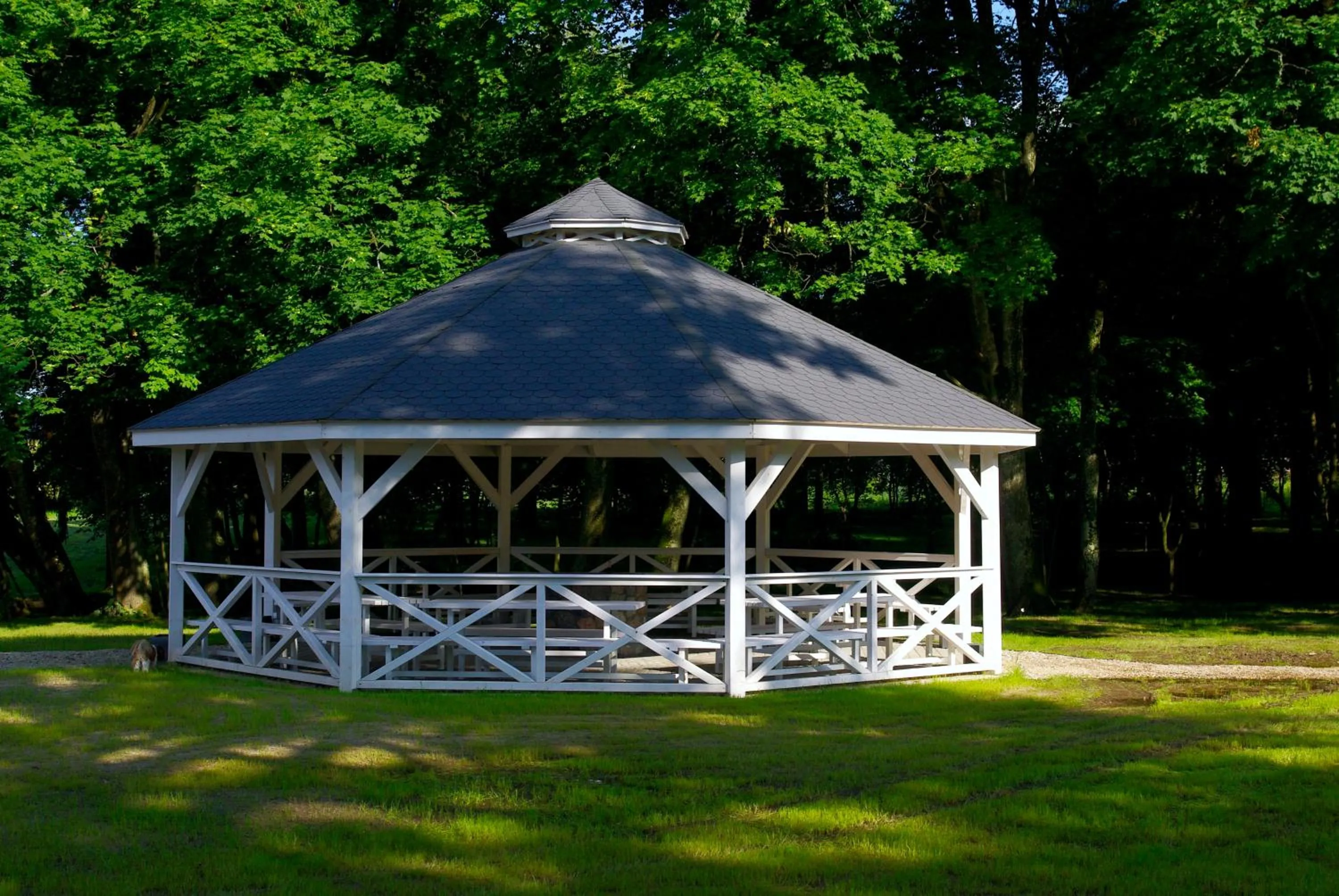 BBQ facilities in Dwór Kaliszki