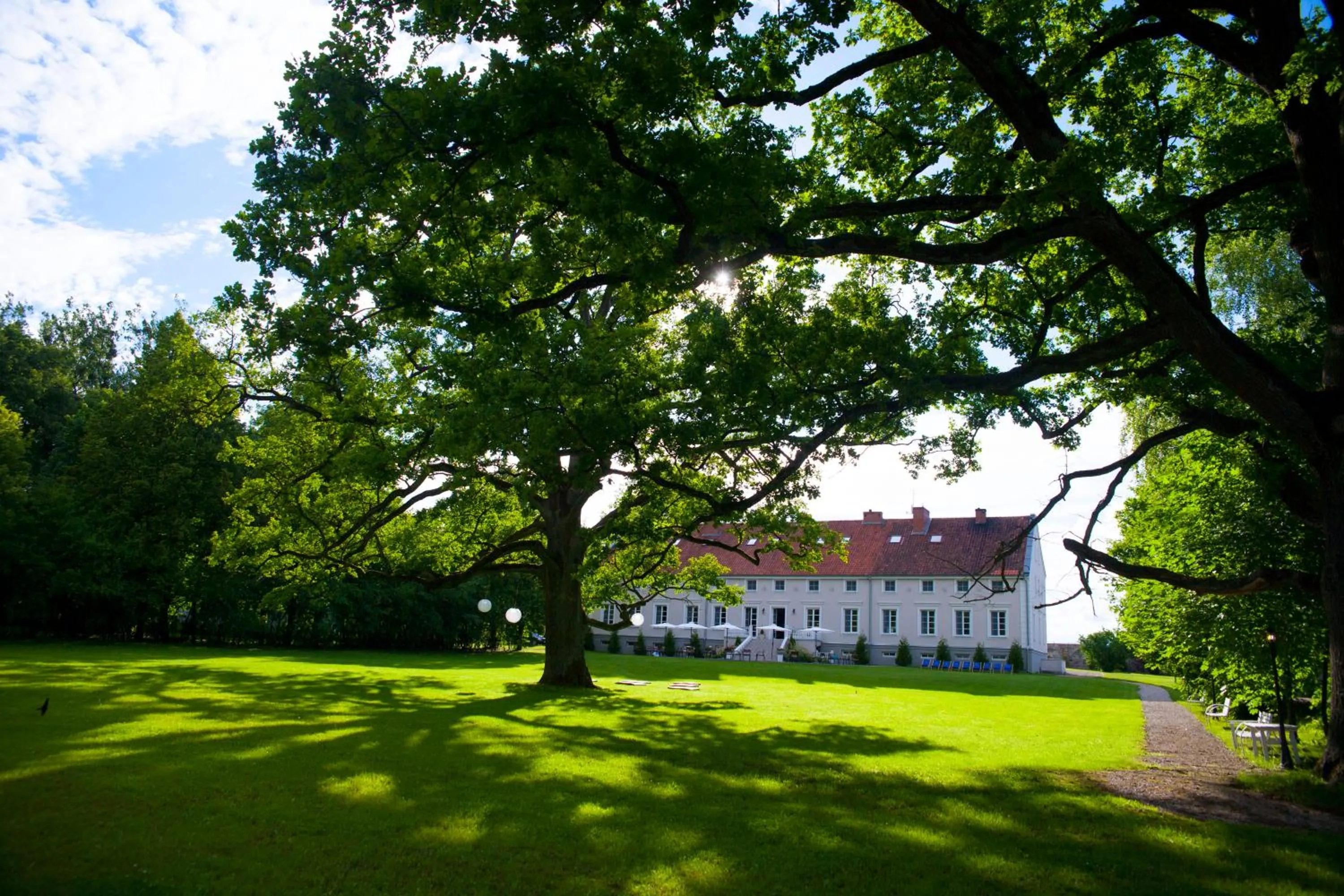 Bird's eye view in Dwór Kaliszki