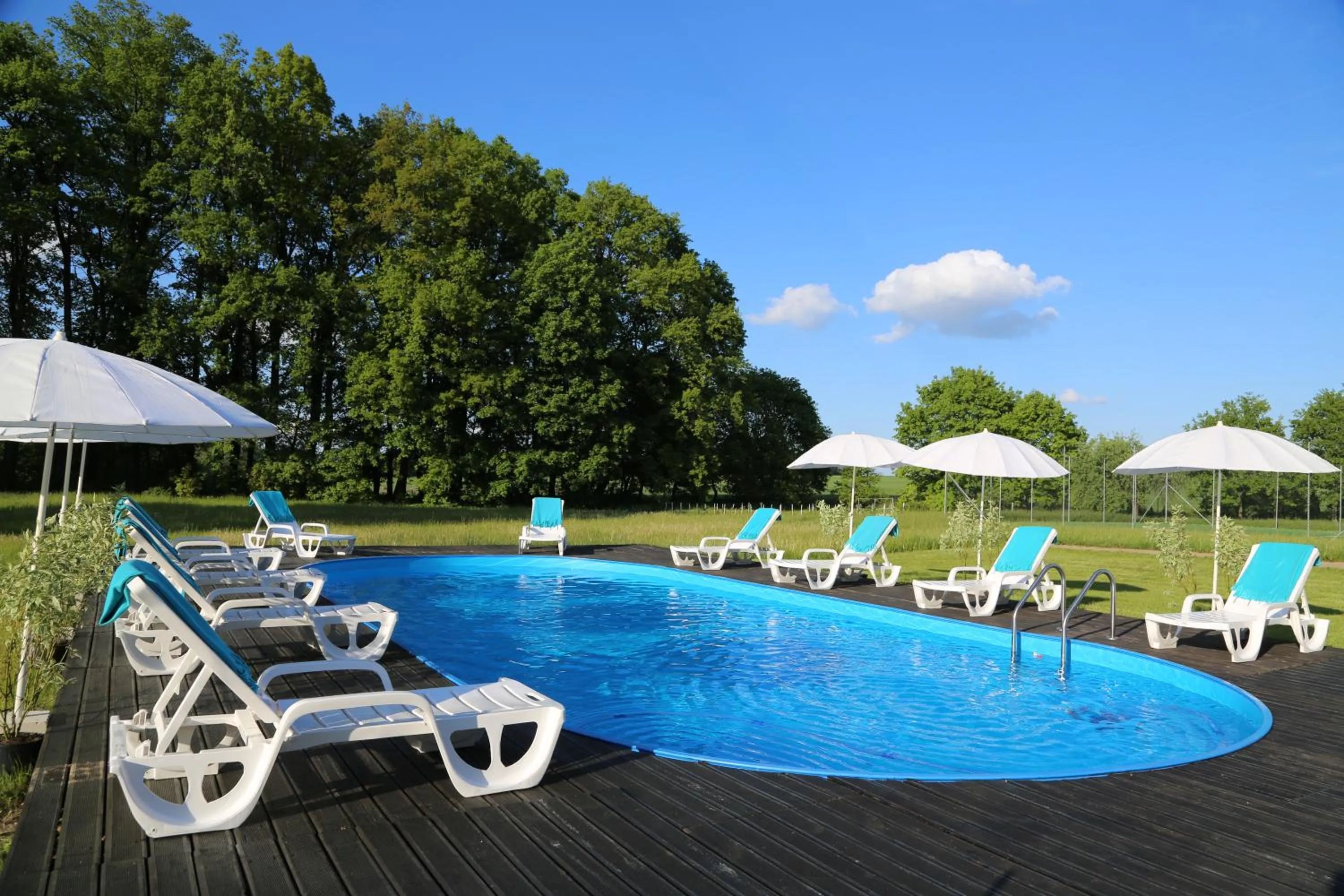 Swimming pool in Dwór Kaliszki