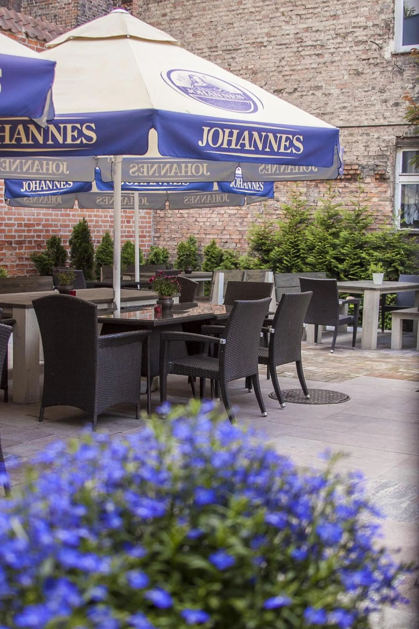 Garden in Dom Zachariasza Zappio