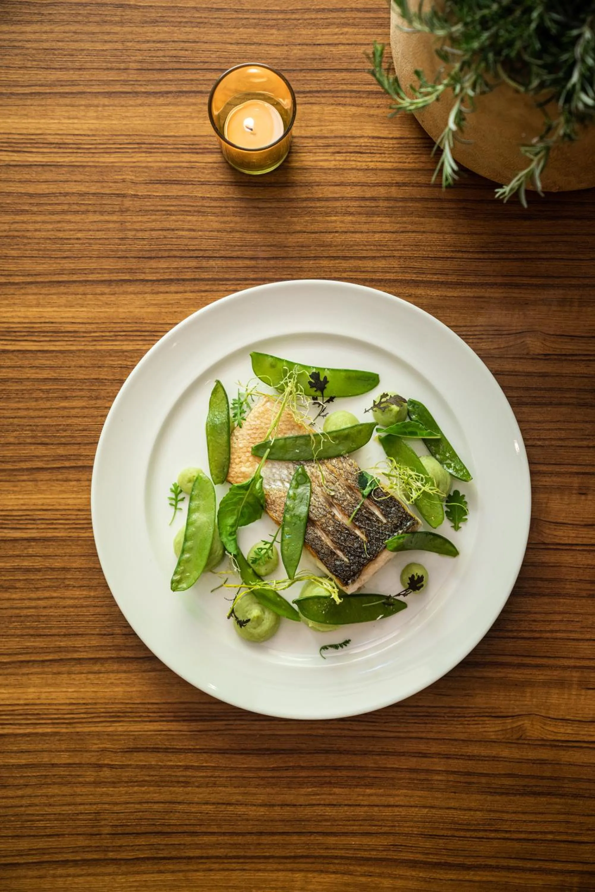 Restaurant/places to eat in C-Hotel & Spa