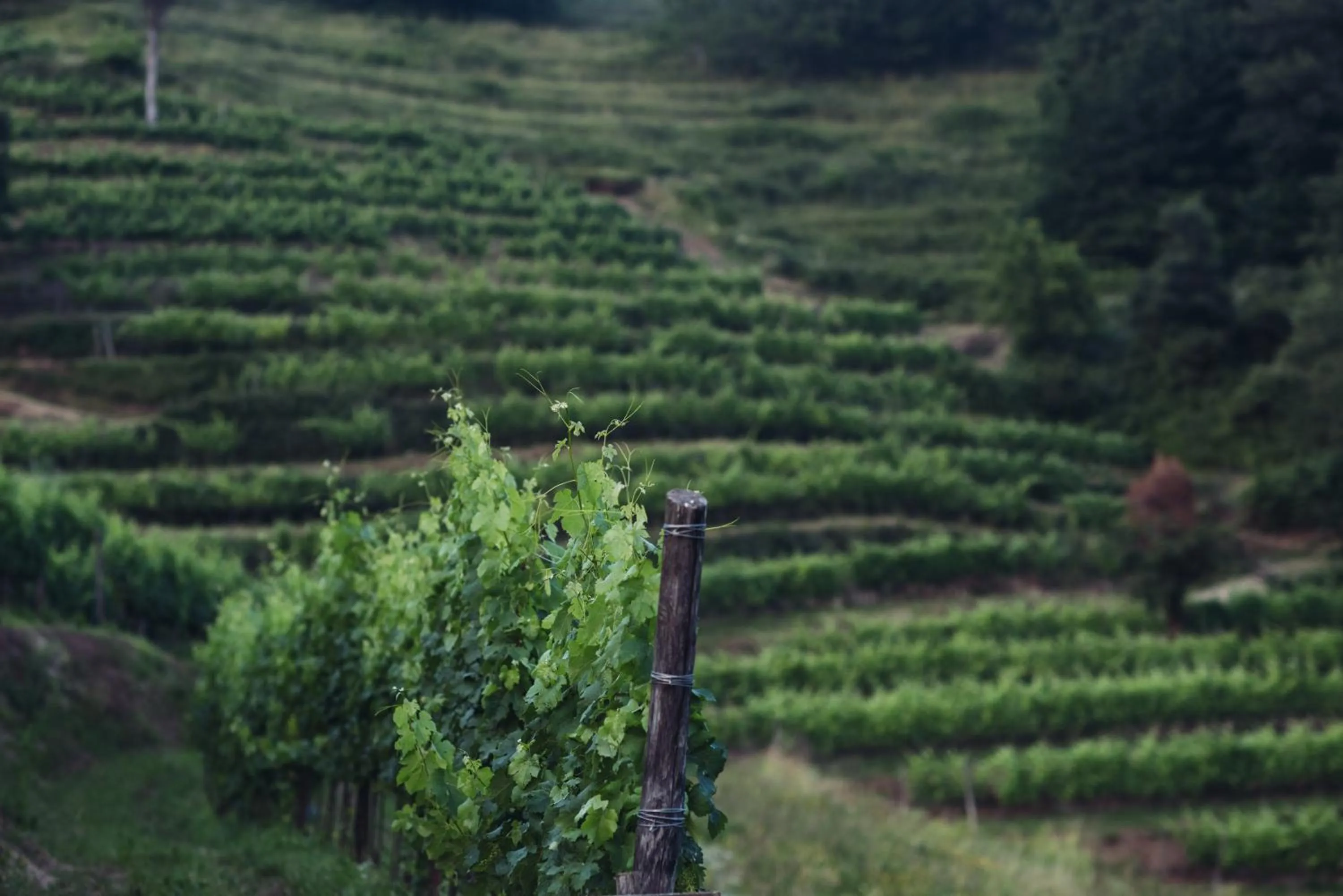 Activities in C-Hotel & Spa