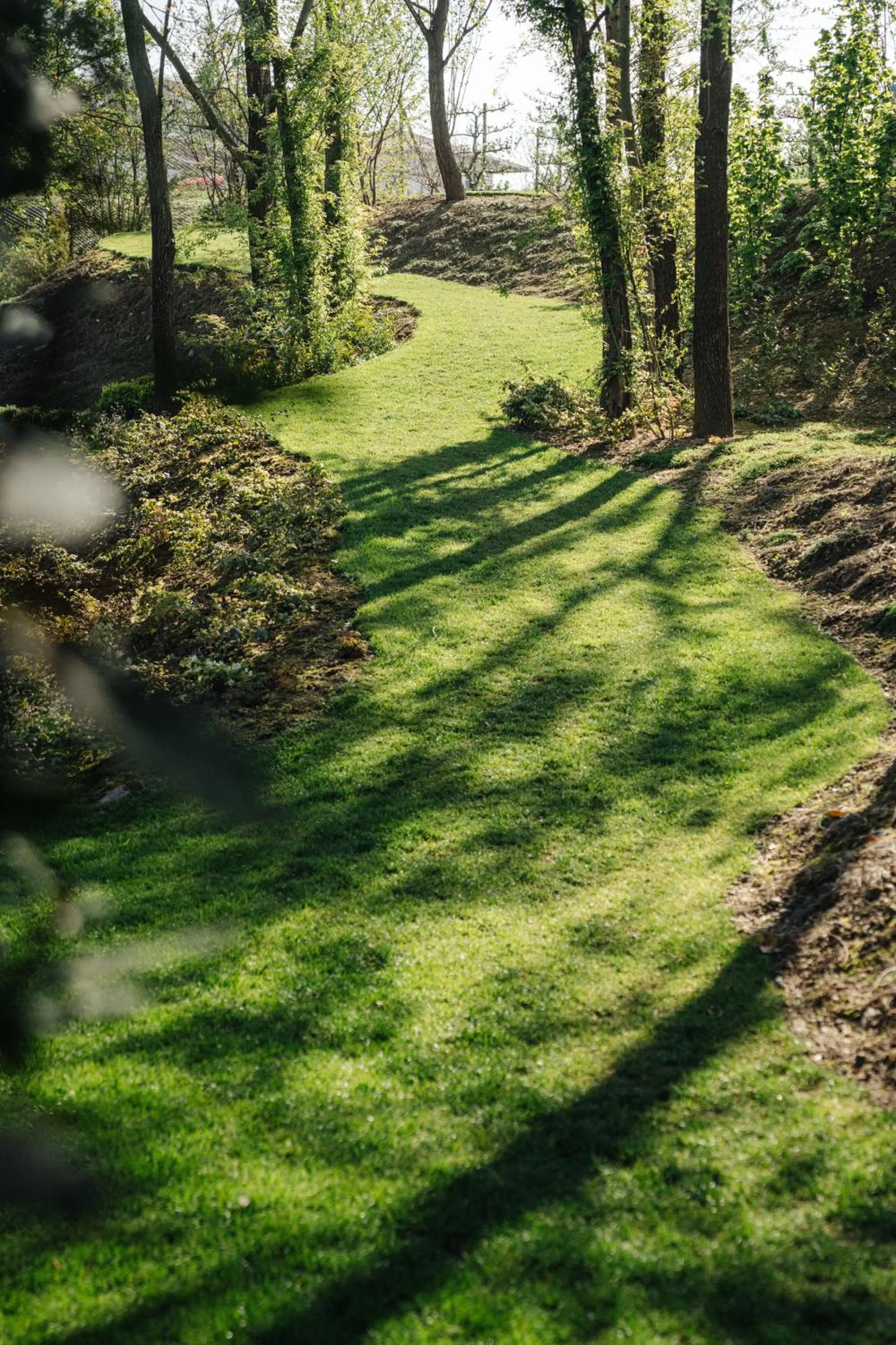 Garden in C-Hotel & Spa