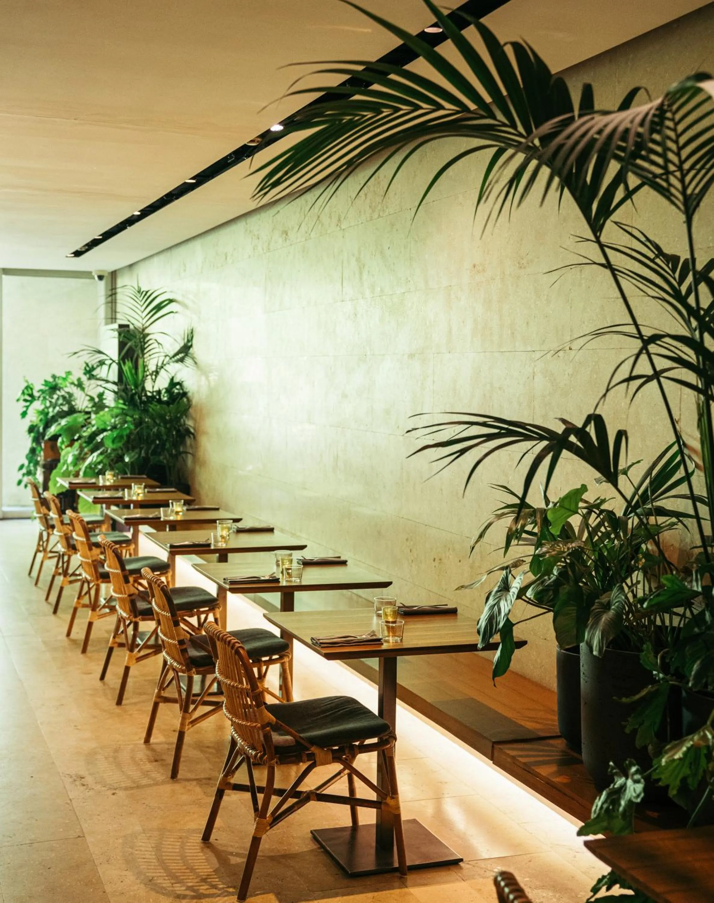 Restaurant/places to eat in C-Hotel & Spa