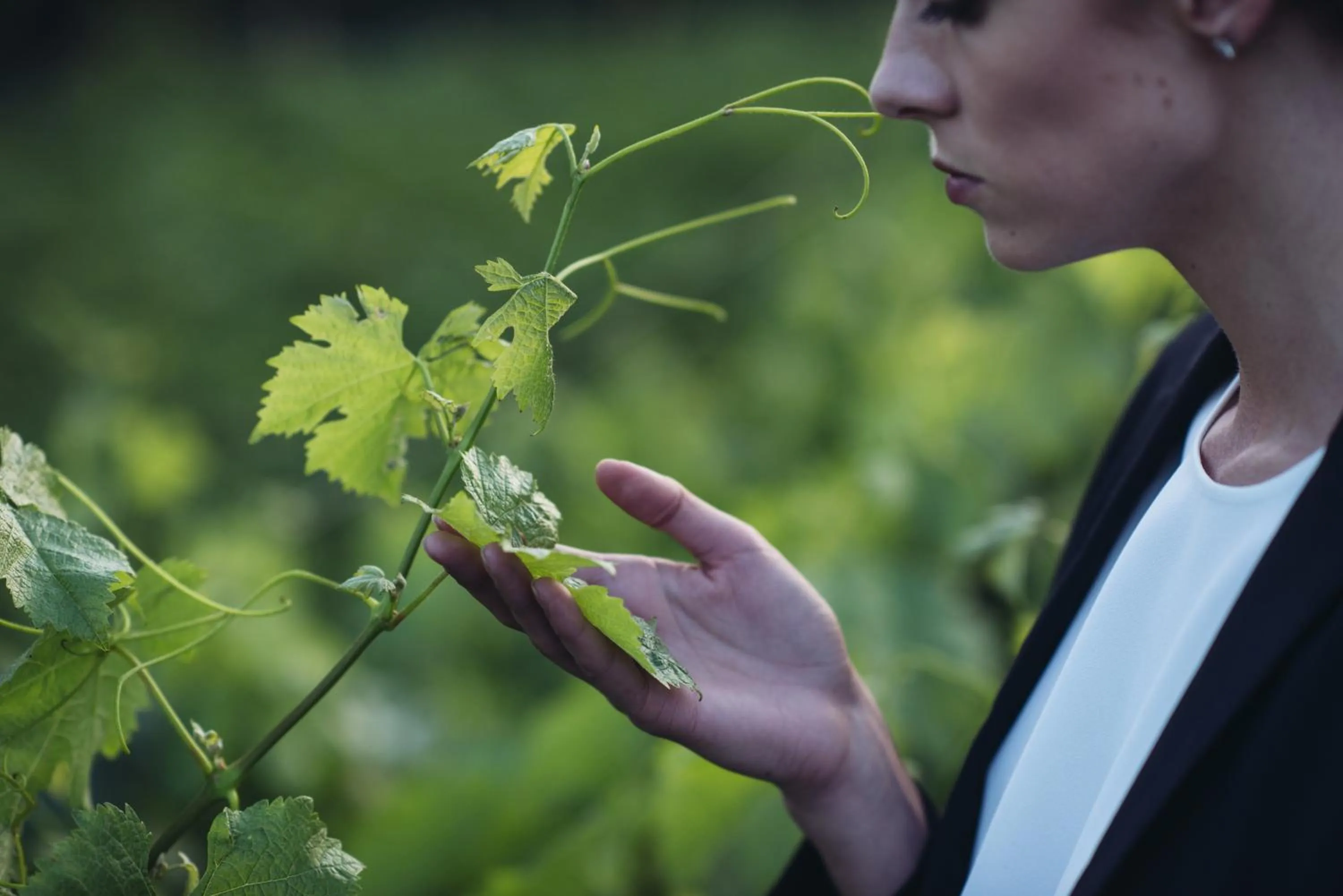 Activities in C-Hotel & Spa