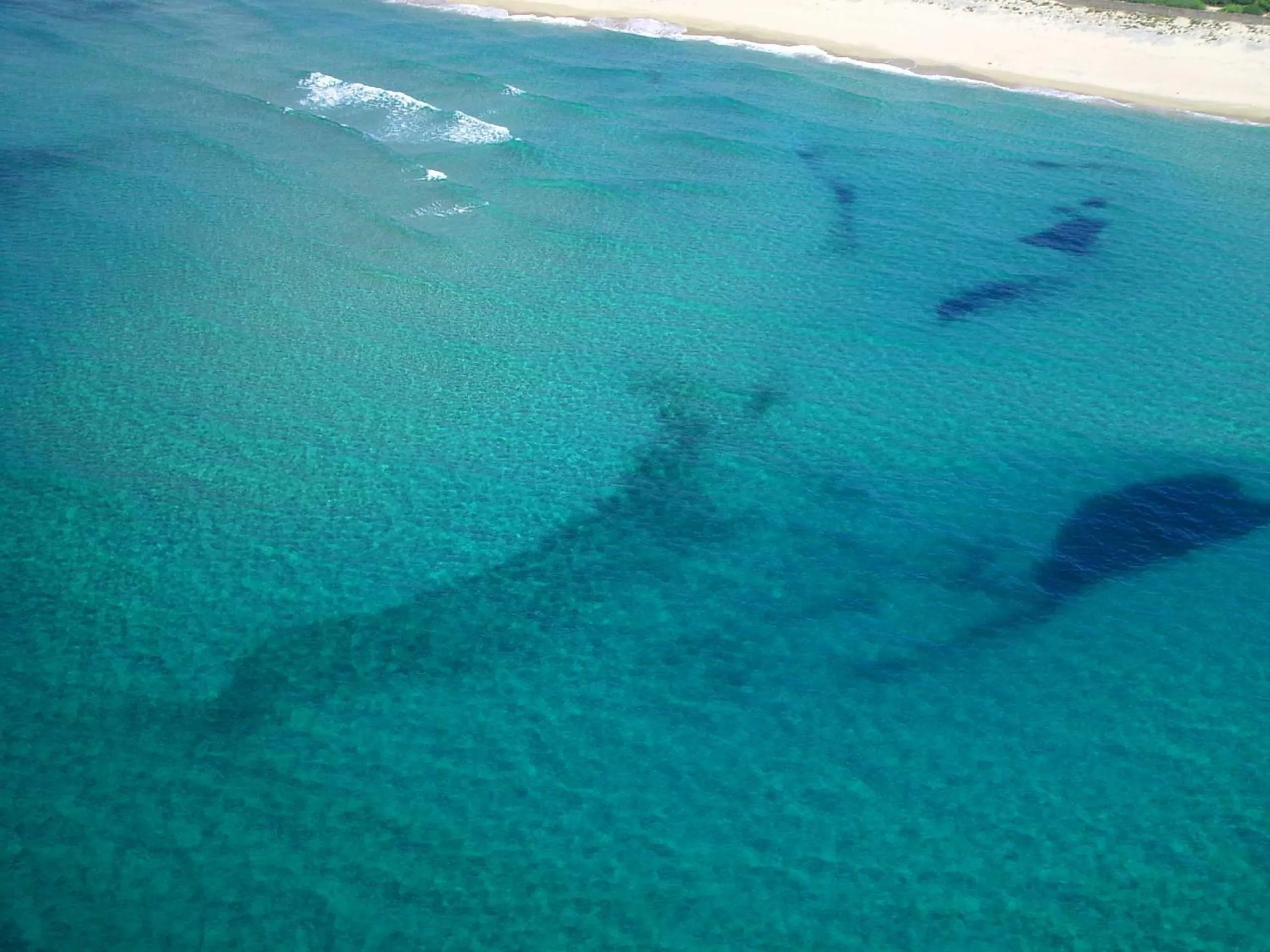 Day in Abbaidda Hotel