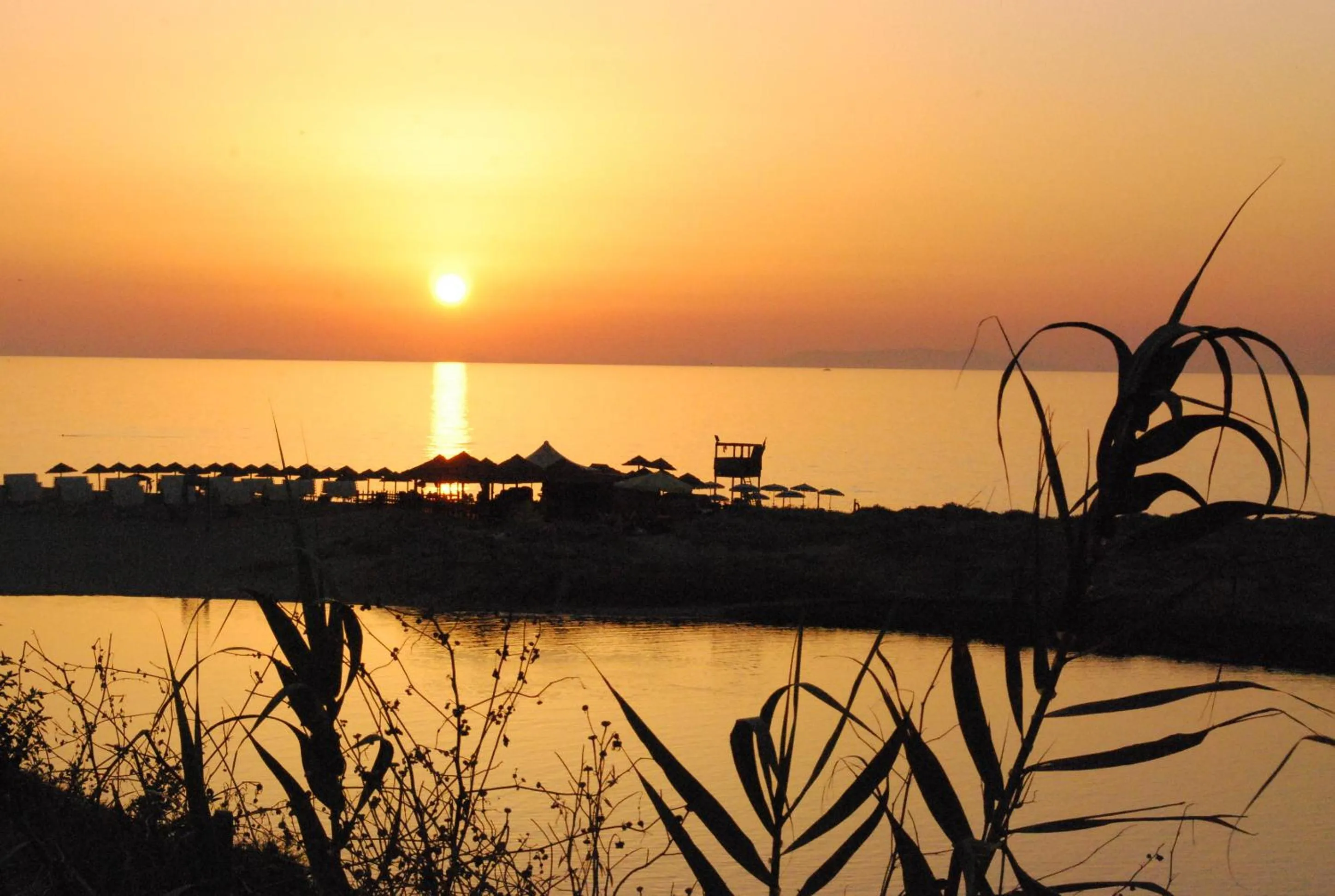 Natural landscape in Abbaidda Hotel