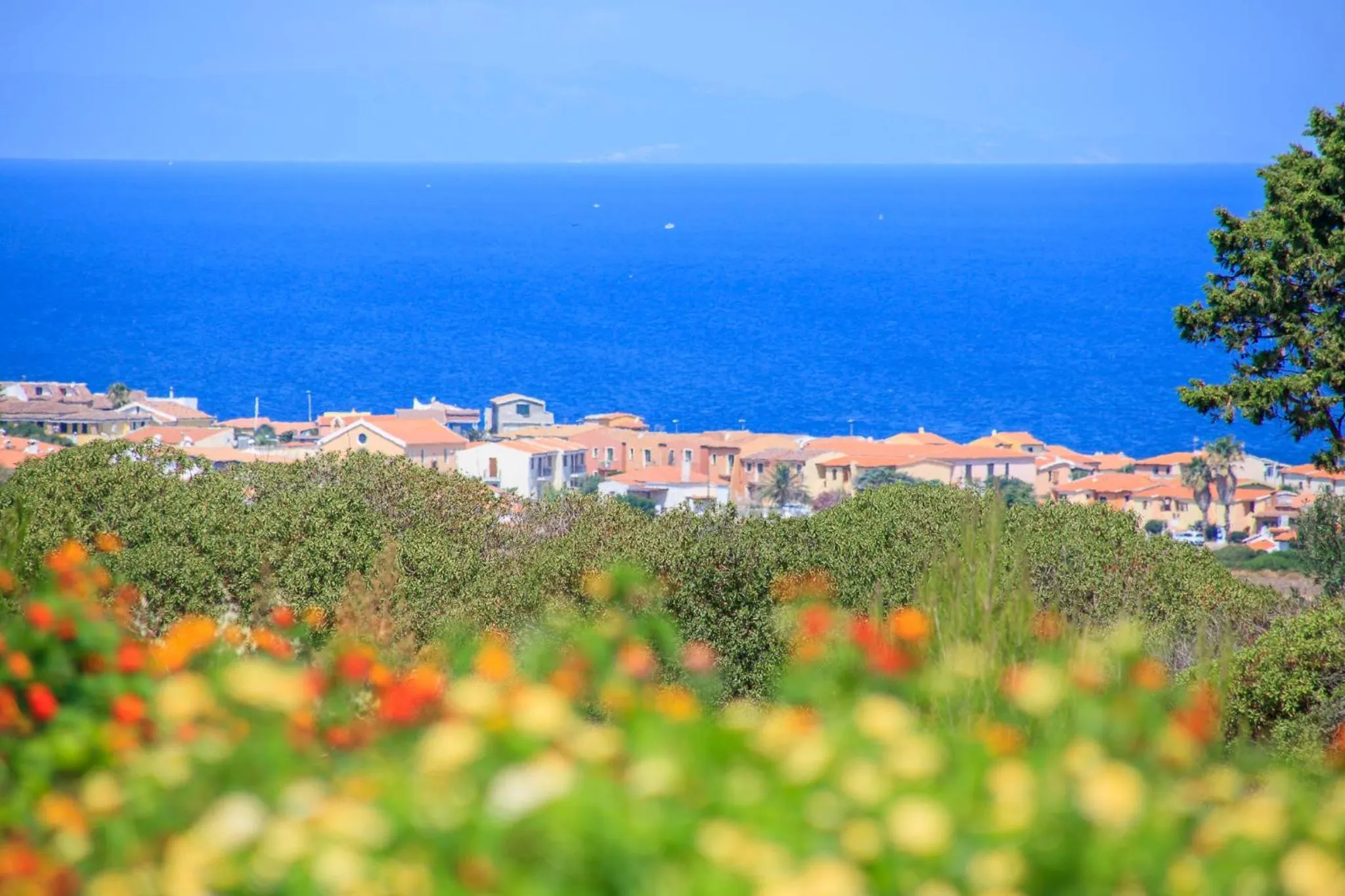 Sea view in Abbaidda Hotel