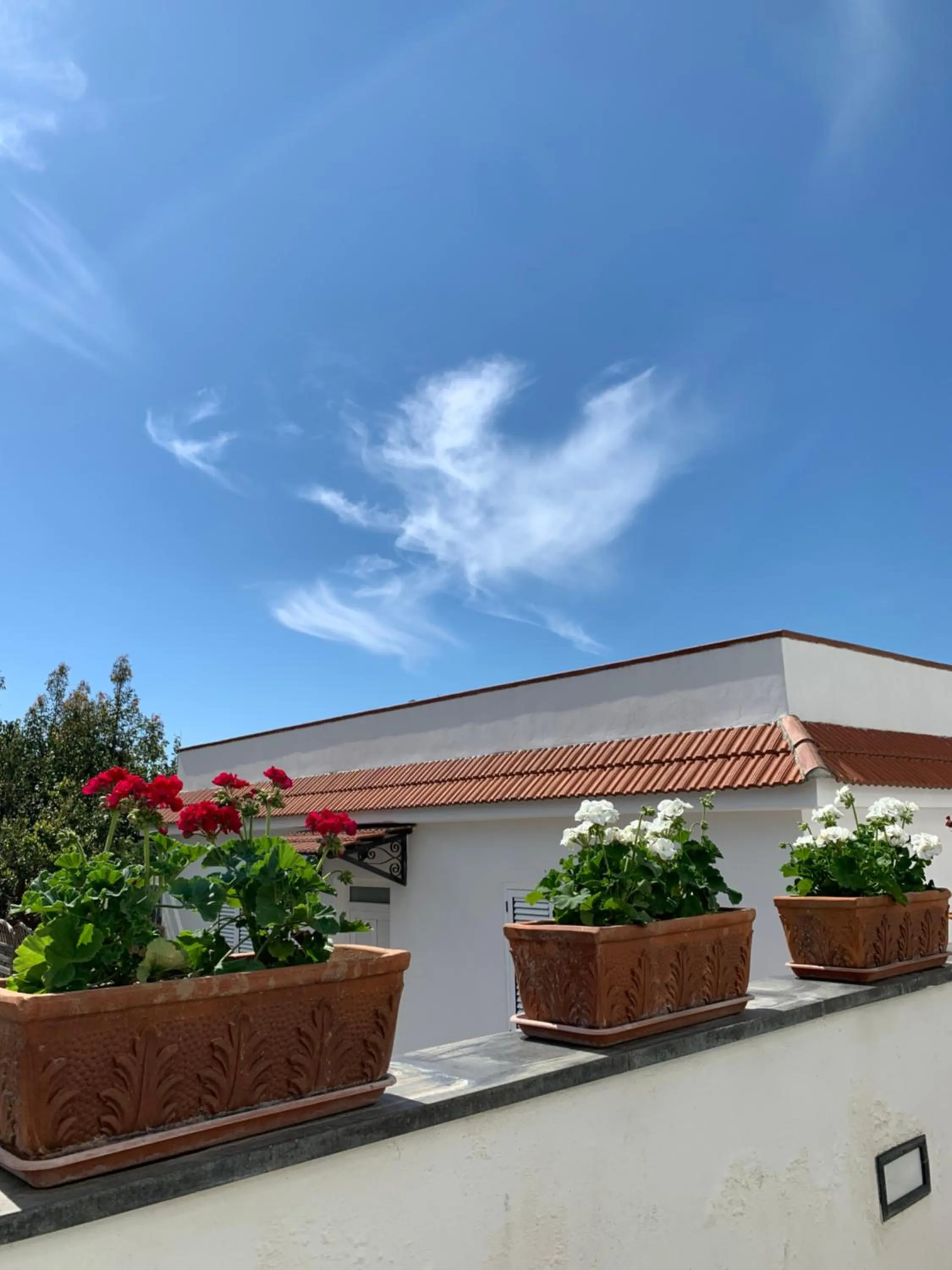 Balcony/Terrace in La Casa Del Sole