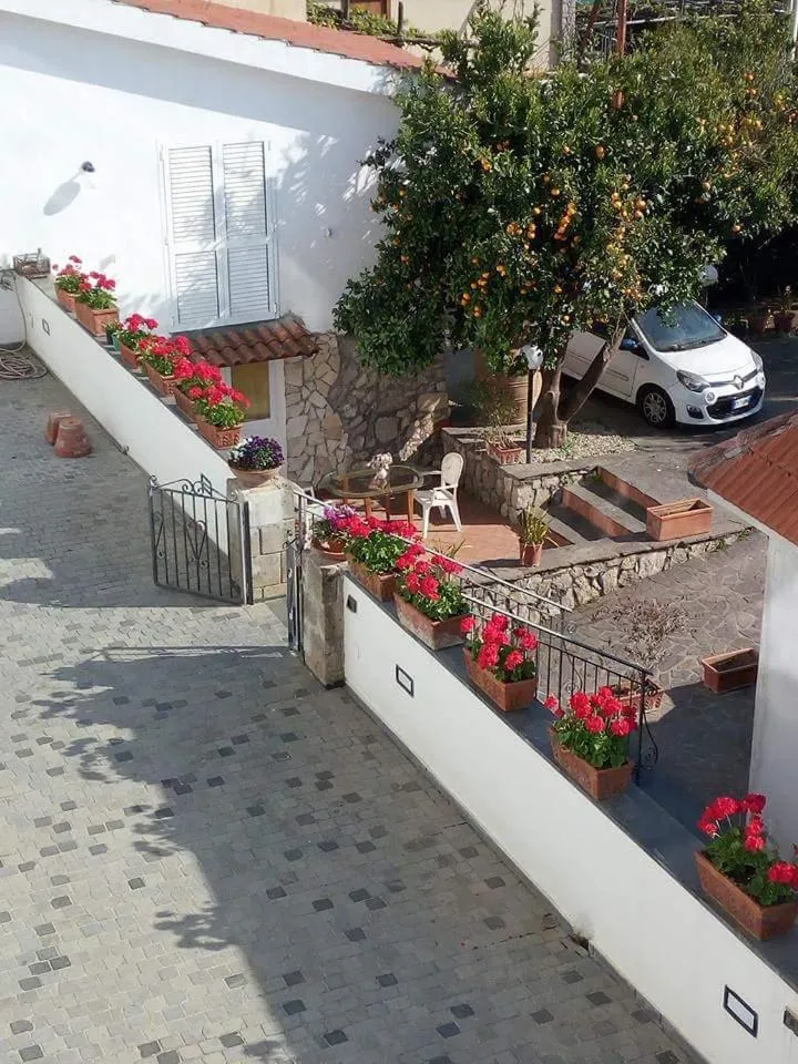 Garden view in La Casa Del Sole