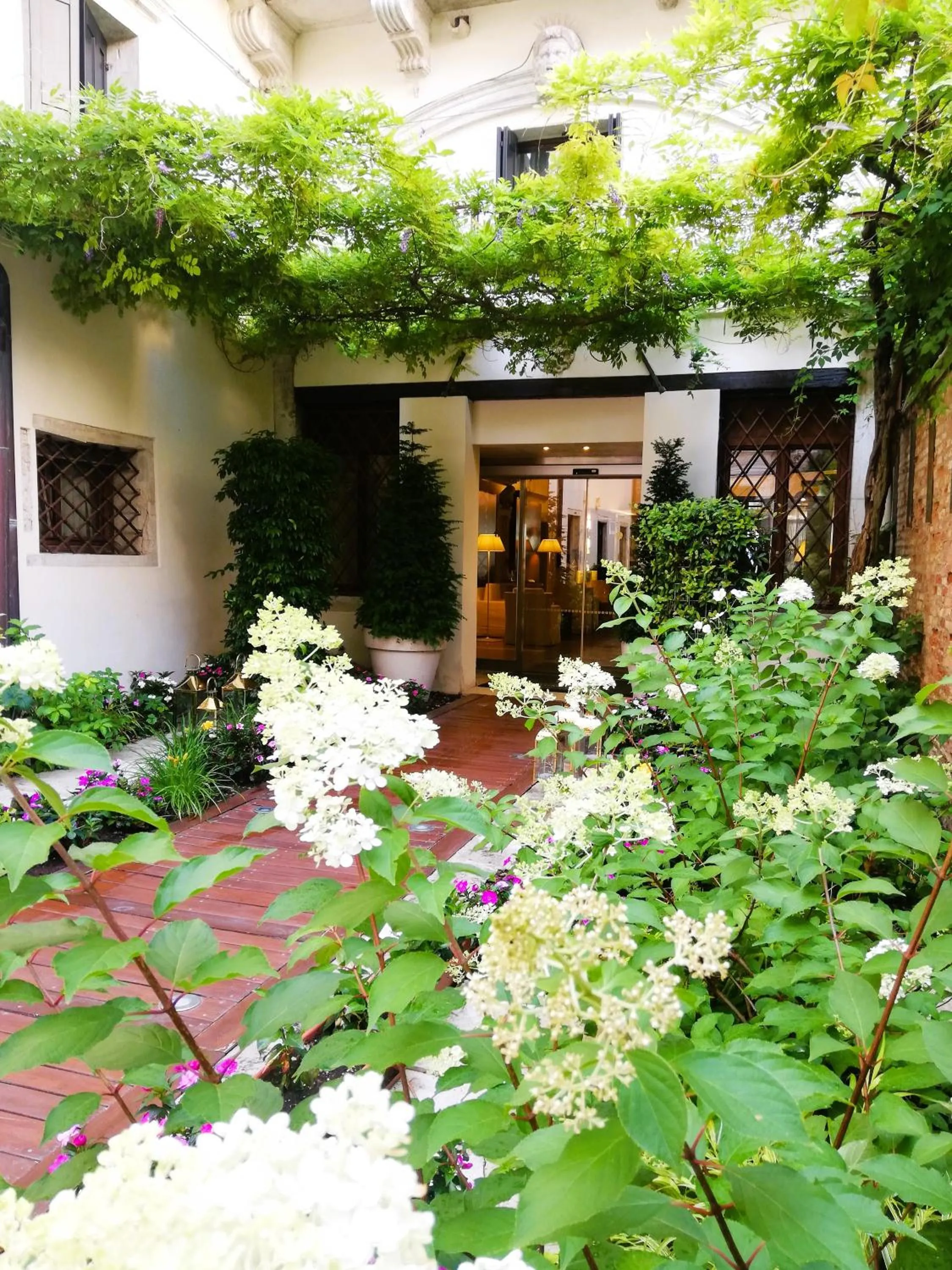 Garden in Hotel Palazzo Giovanelli e Gran Canal
