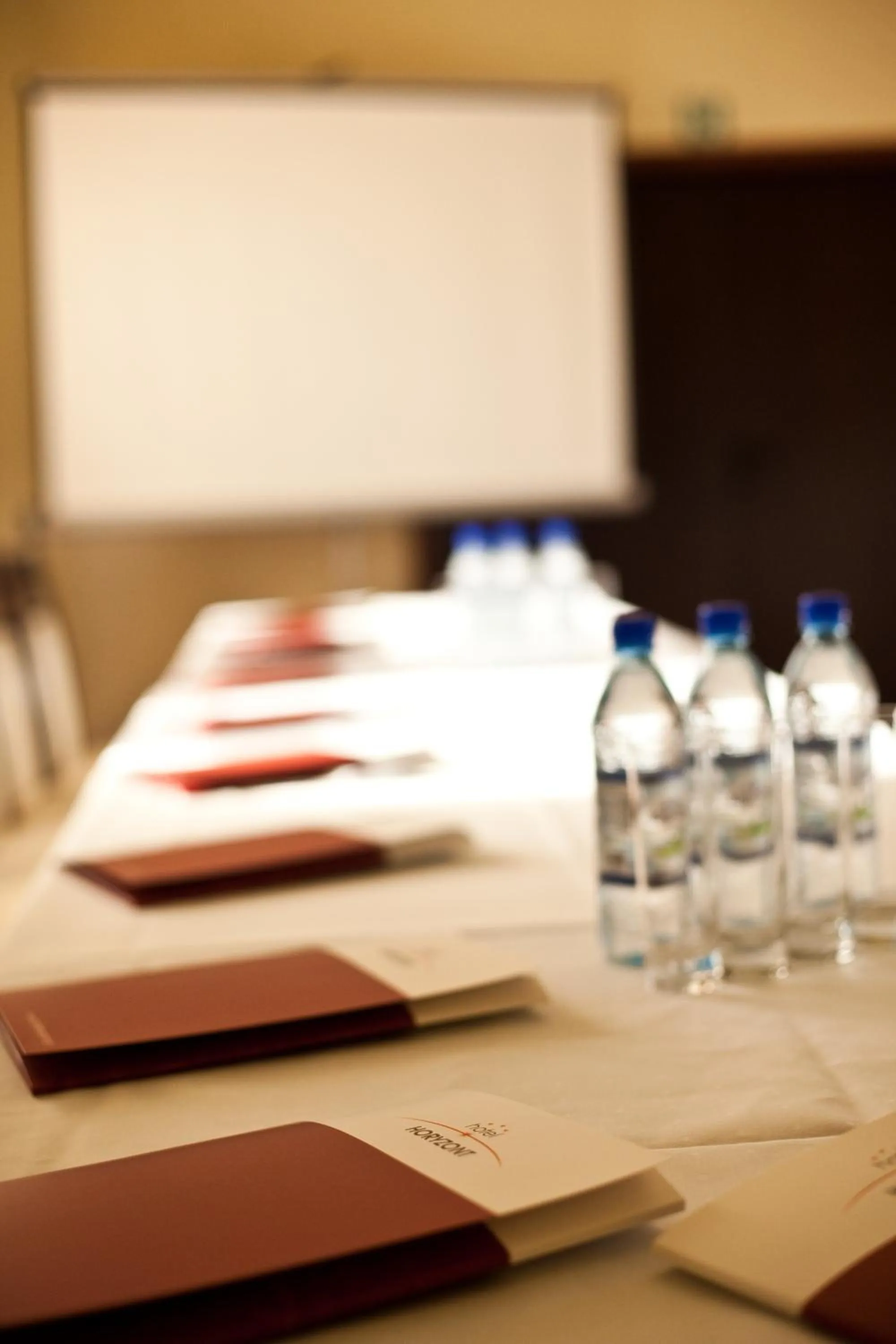 Business facilities in Hotel Horyzont