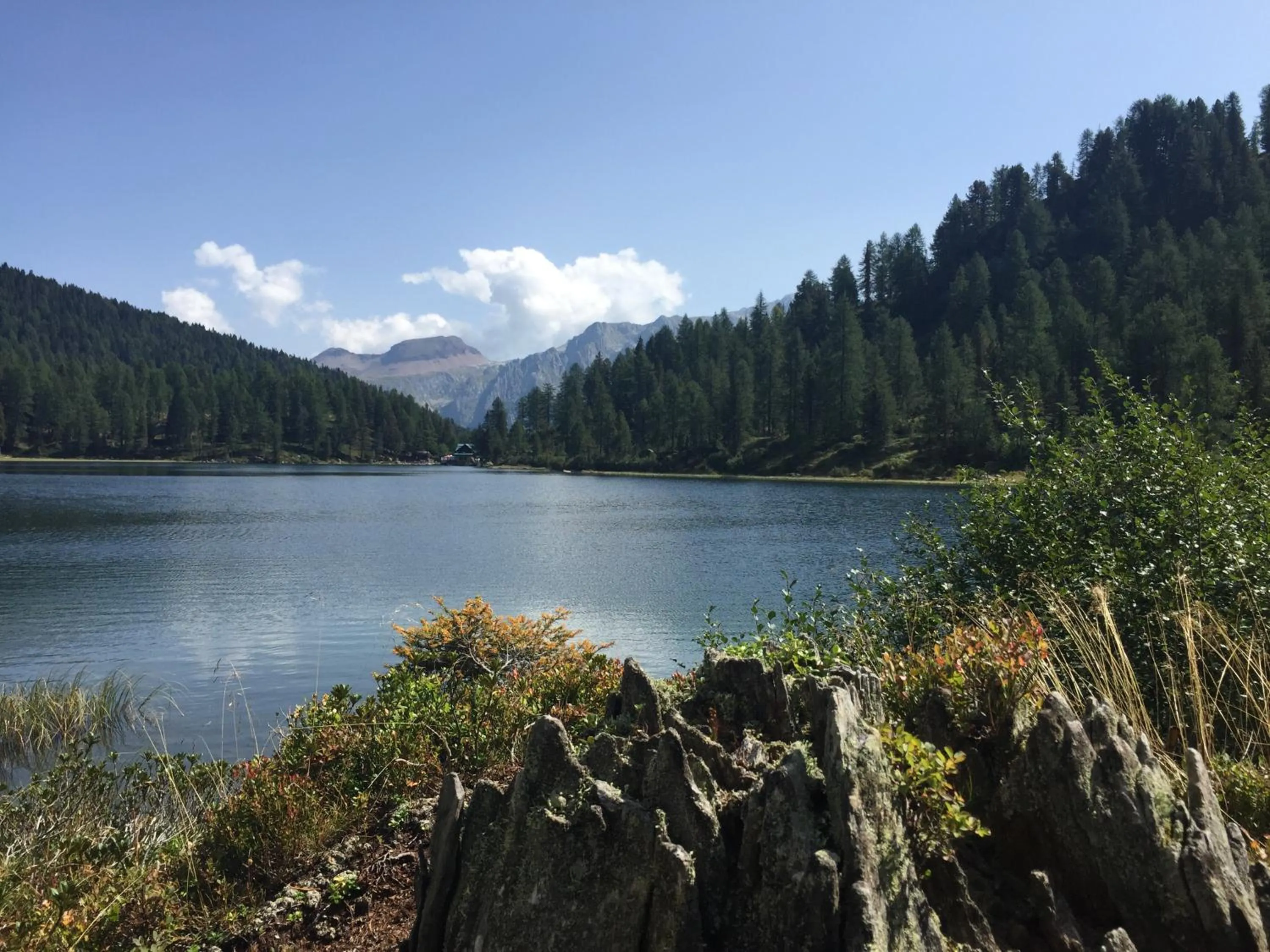 Activities in Hotel Europa