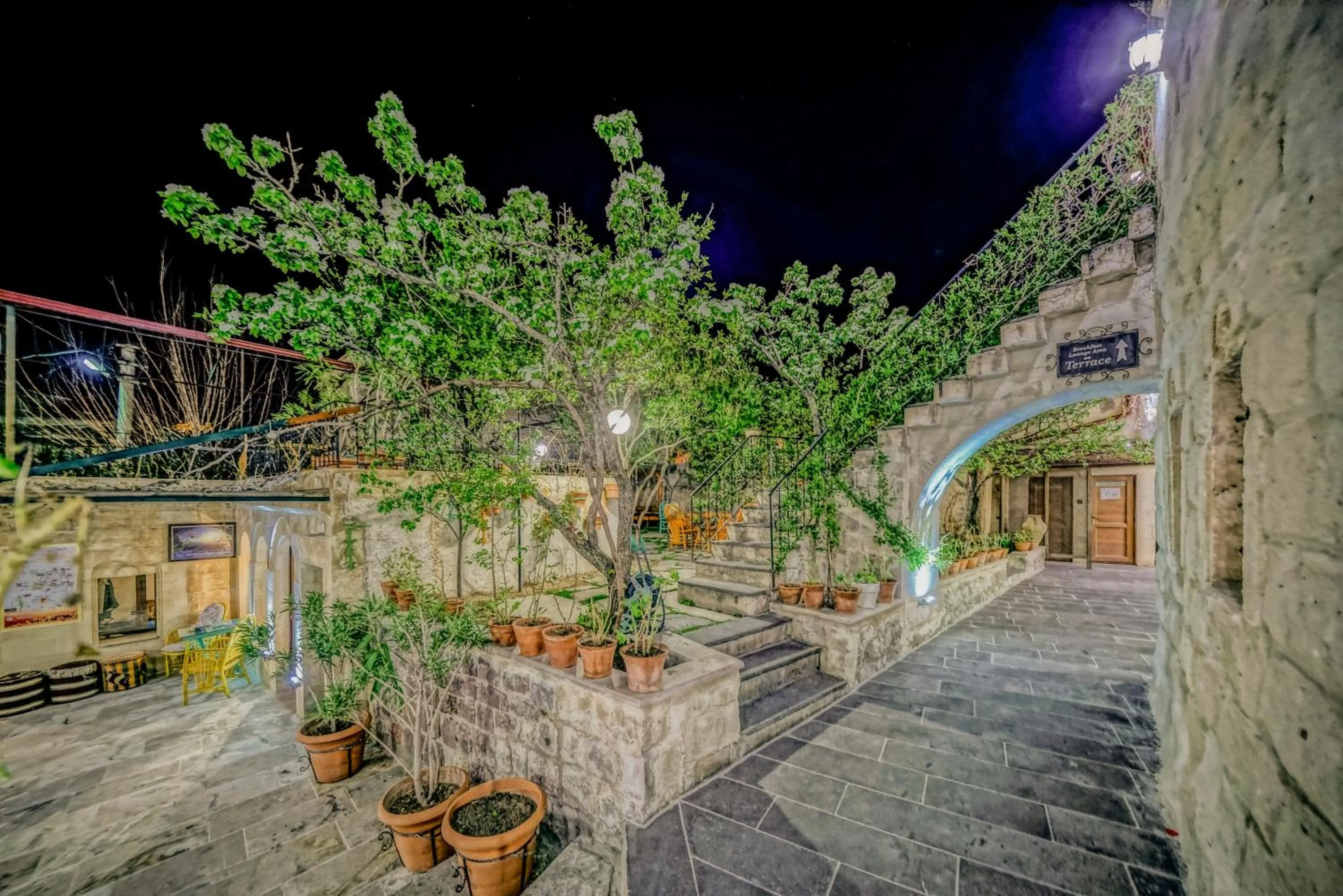 Garden view in Elysee Cave House