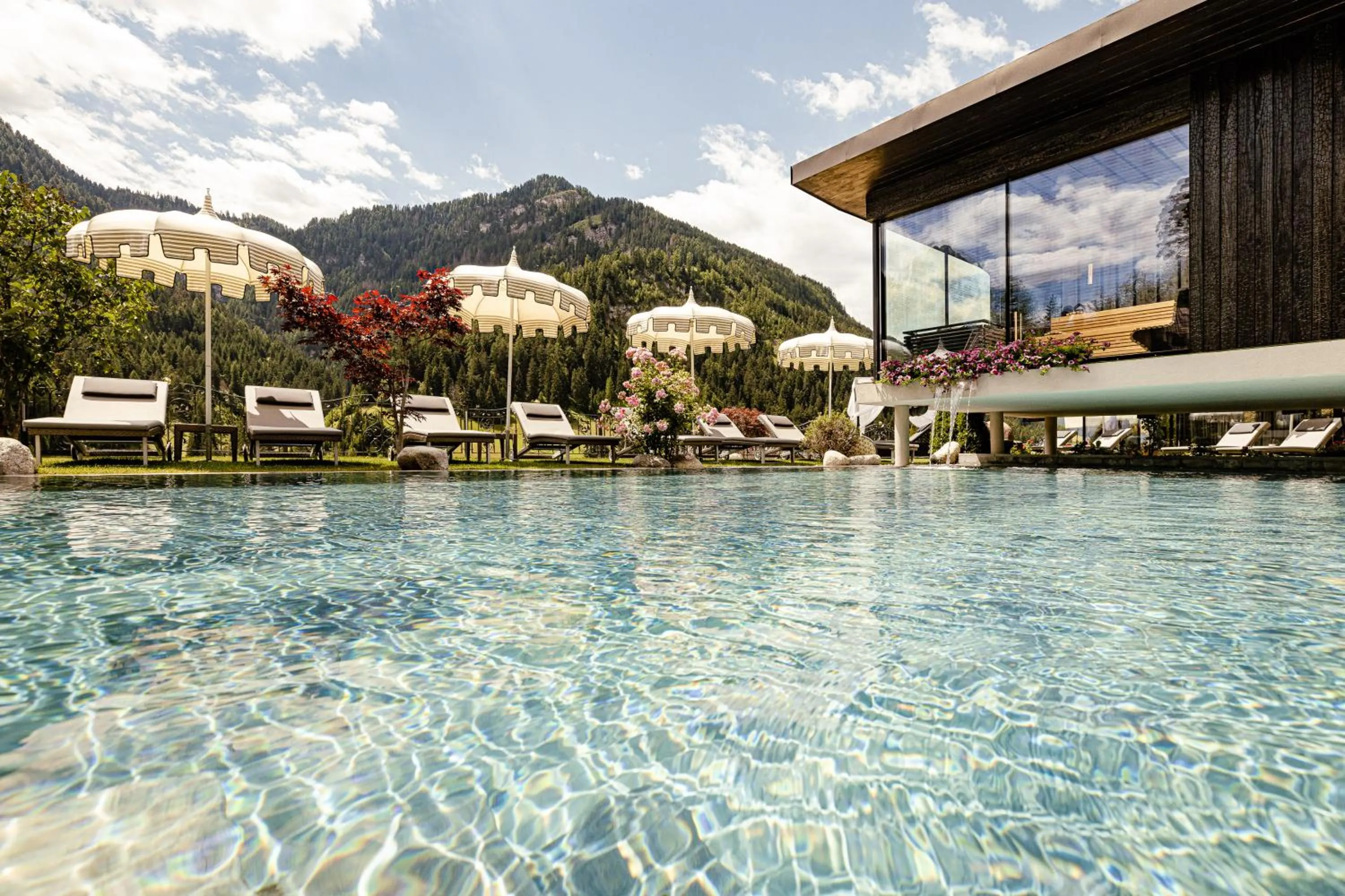 Swimming pool in Alpin Garden Luxury Maison & SPA - Adults Only